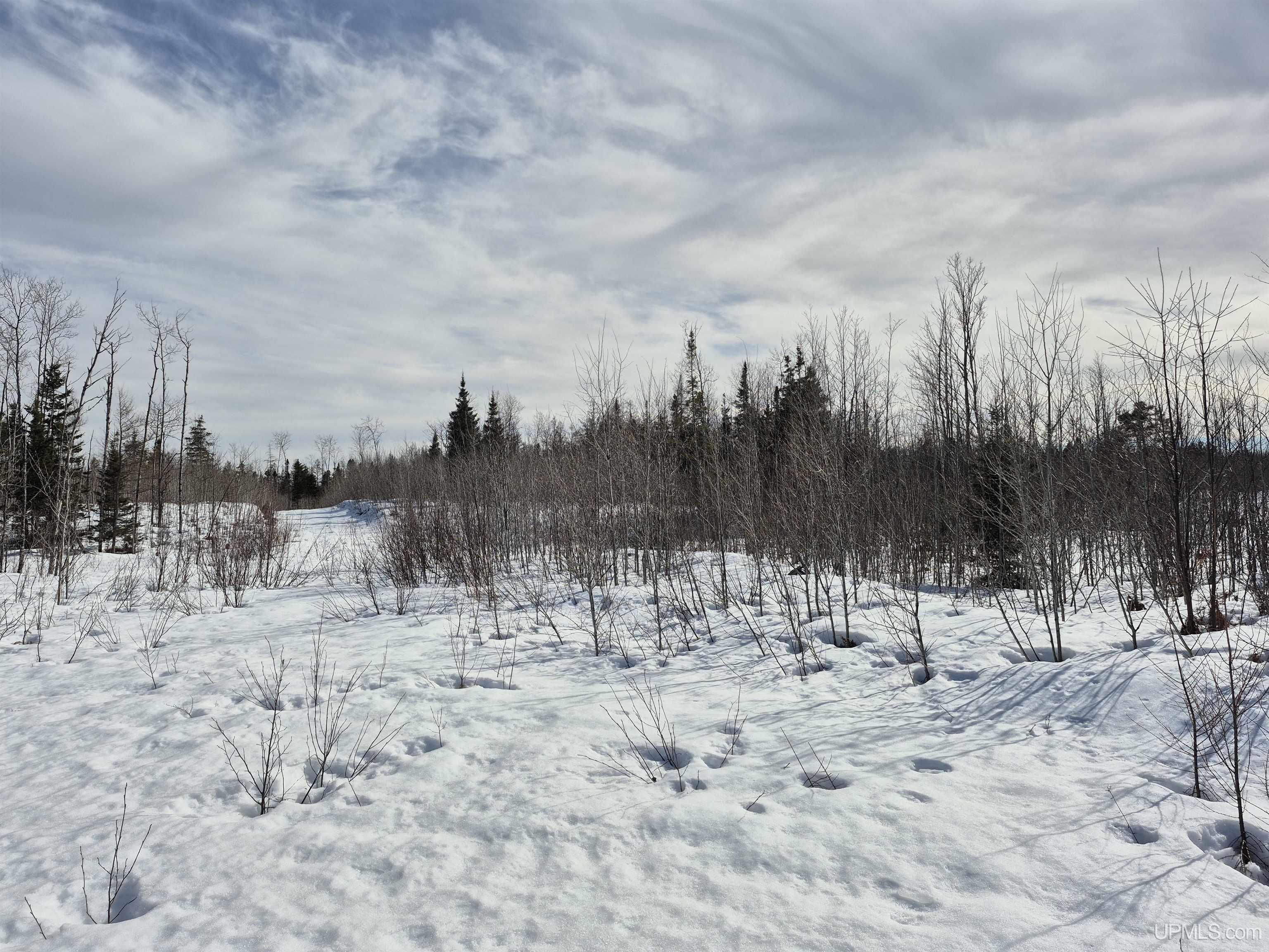 80 acres 18 Road, Republic, MI, 49879