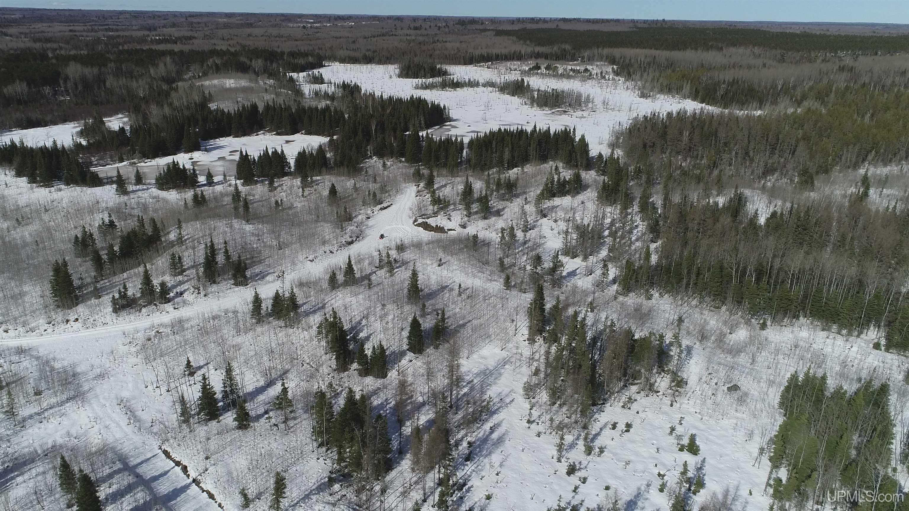 80 acres 18 Road, Republic, MI, 49879