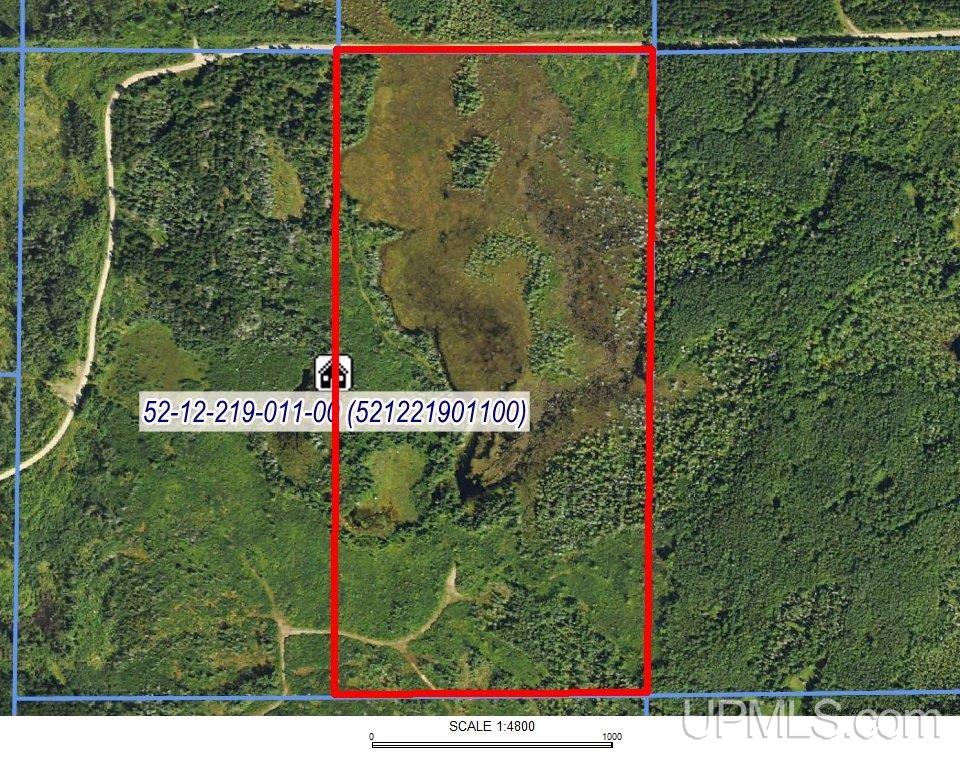 80 acres 18 Road, Republic, MI, 49879