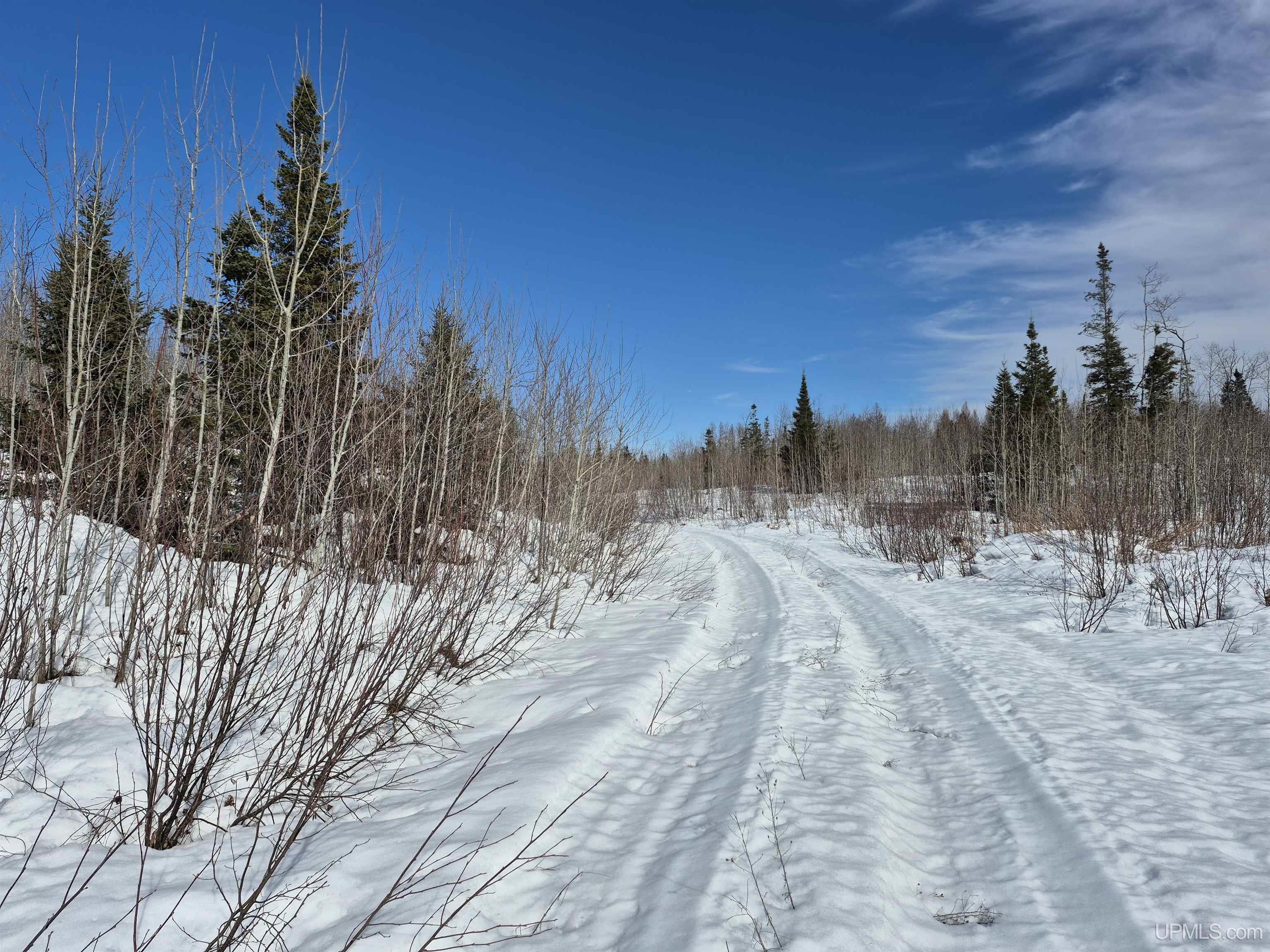 80 acres 18 Road, Republic, MI, 49879