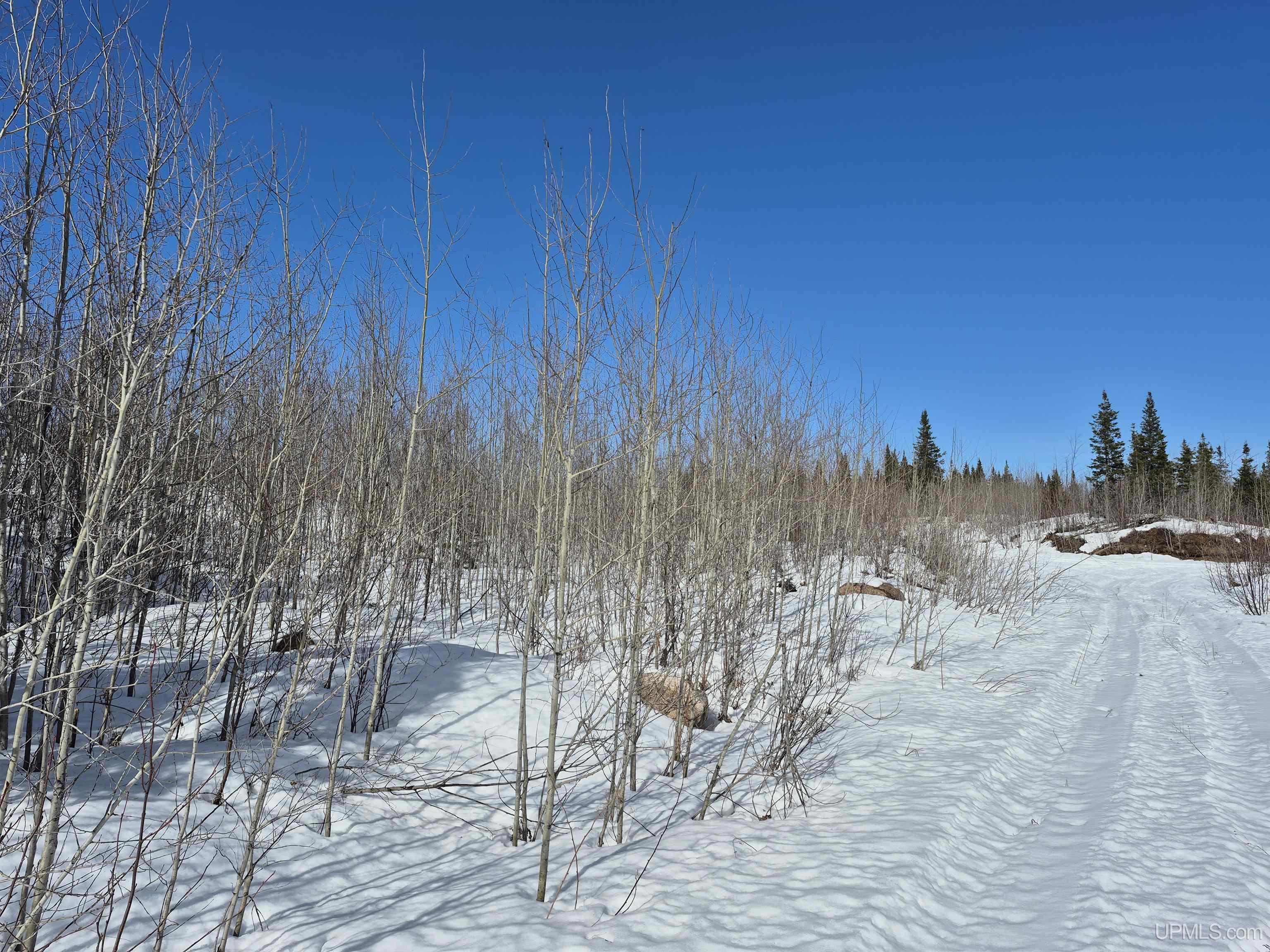 80 acres 18 Road, Republic, MI, 49879