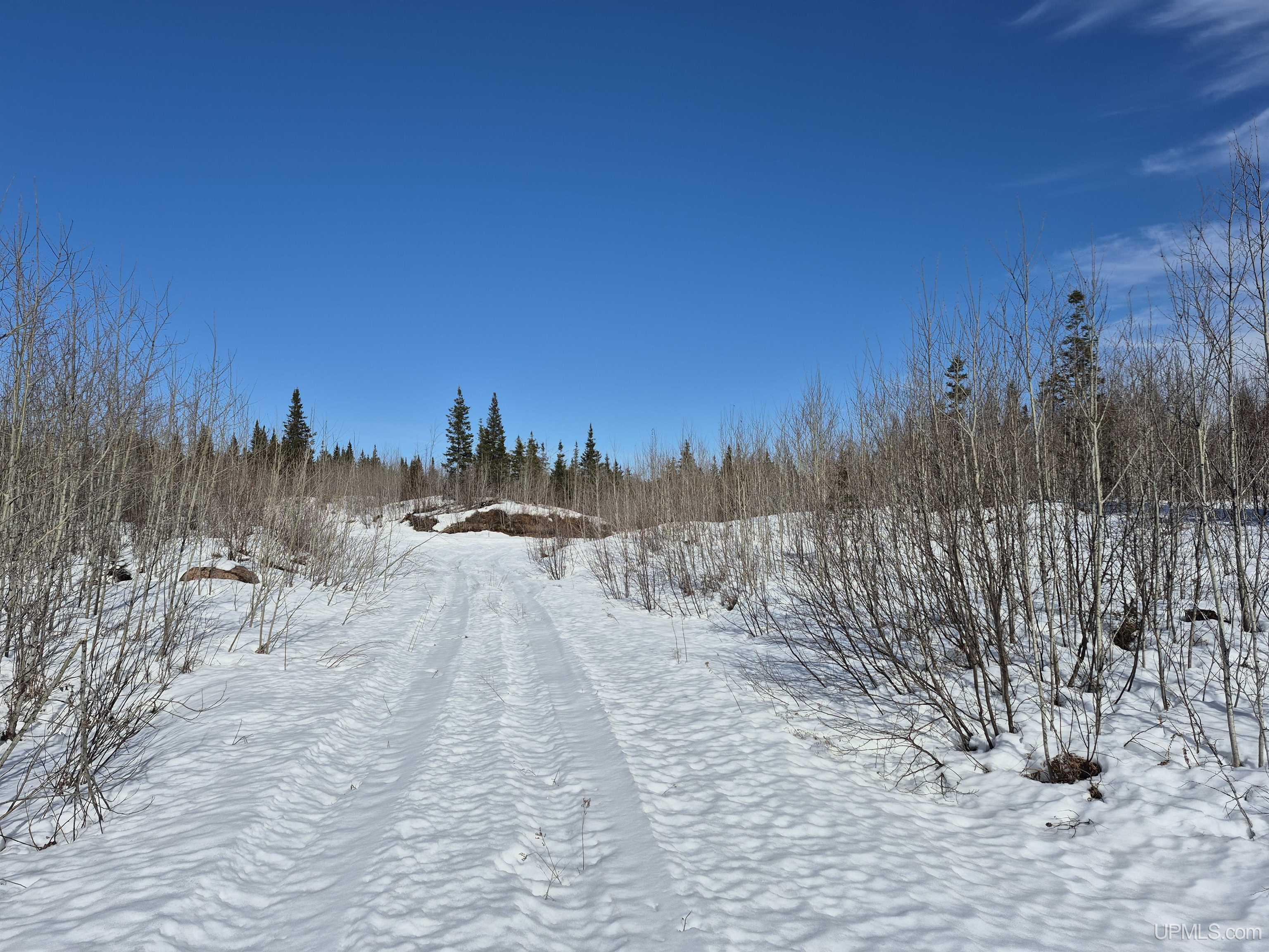 80 acres 18 Road, Republic, MI, 49879