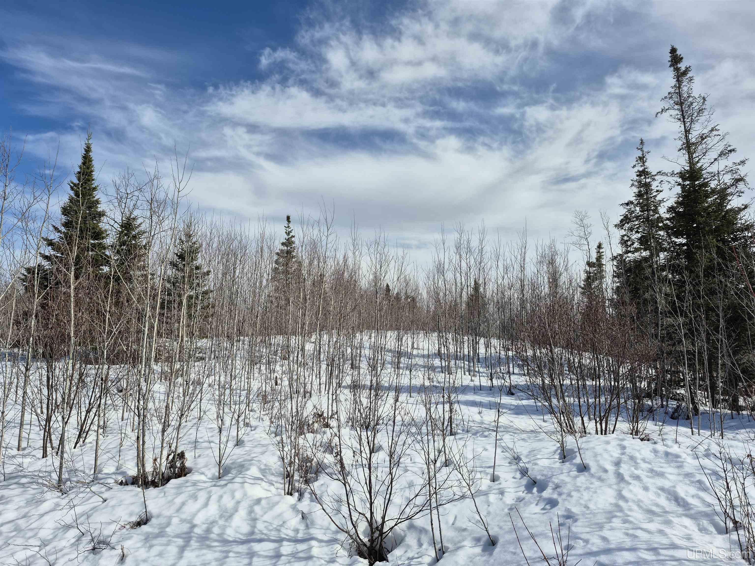 80 acres 18 Road, Republic, MI, 49879