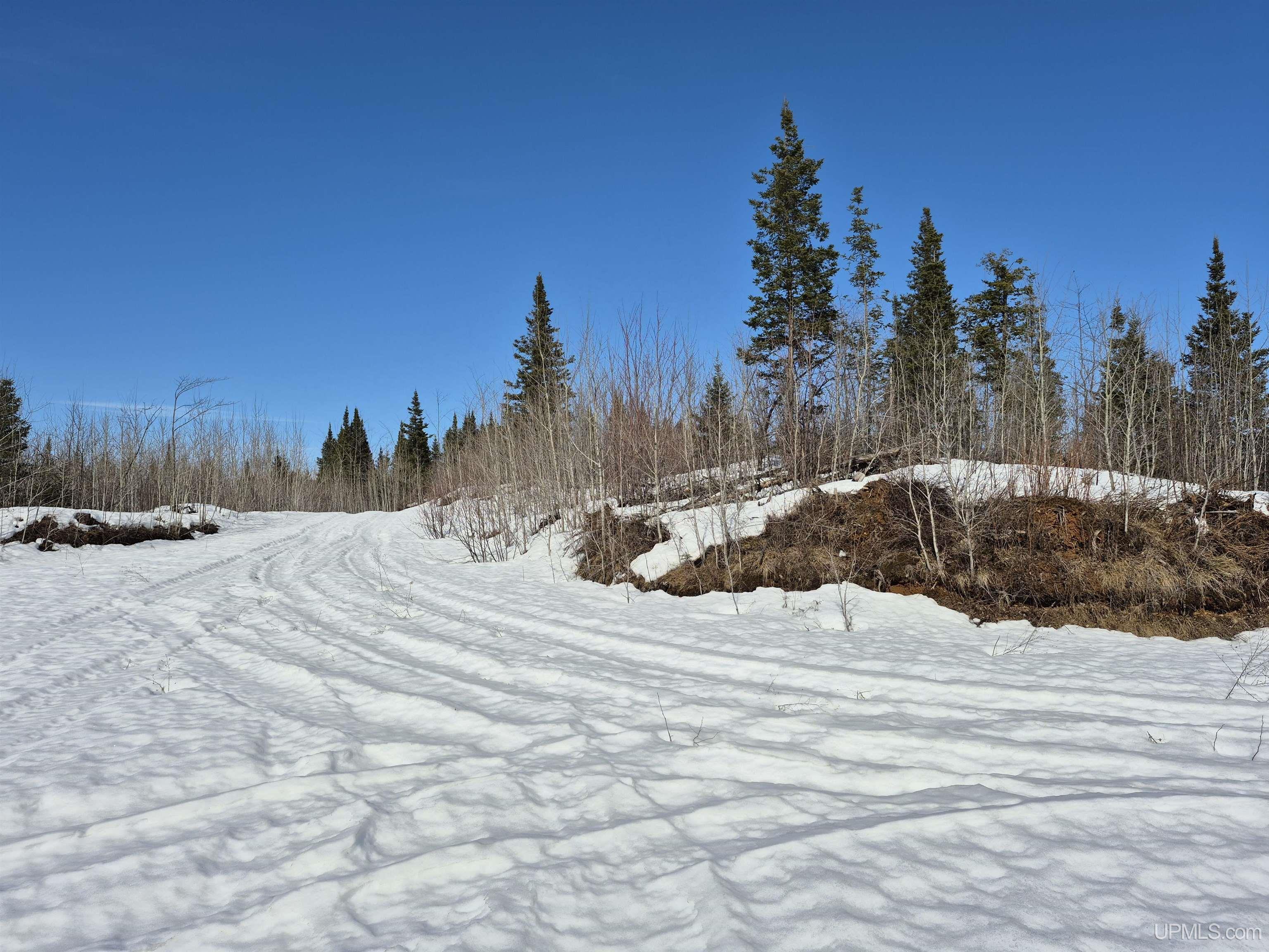 80 acres 18 Road, Republic, MI, 49879