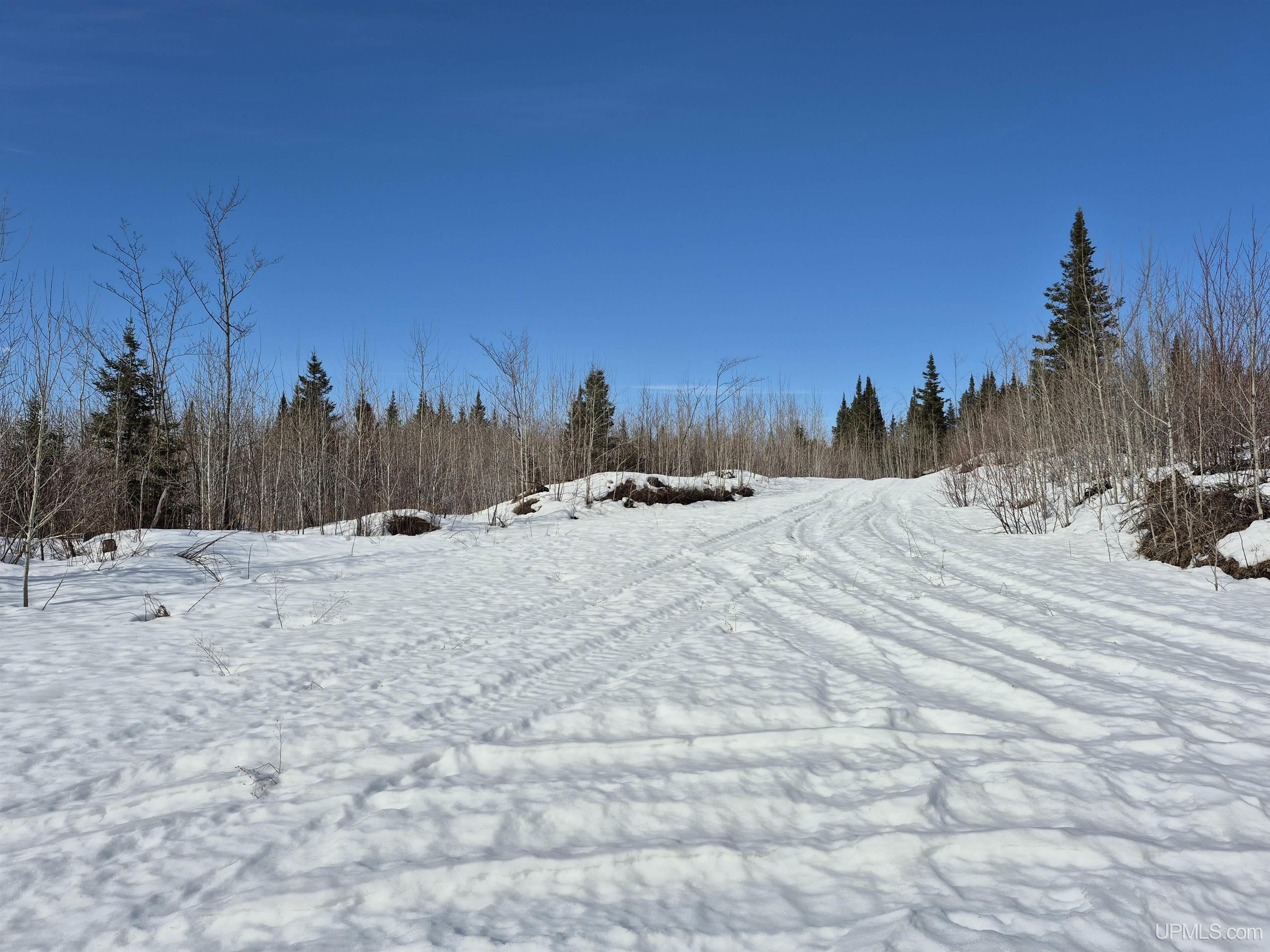 80 acres 18 Road, Republic, MI, 49879