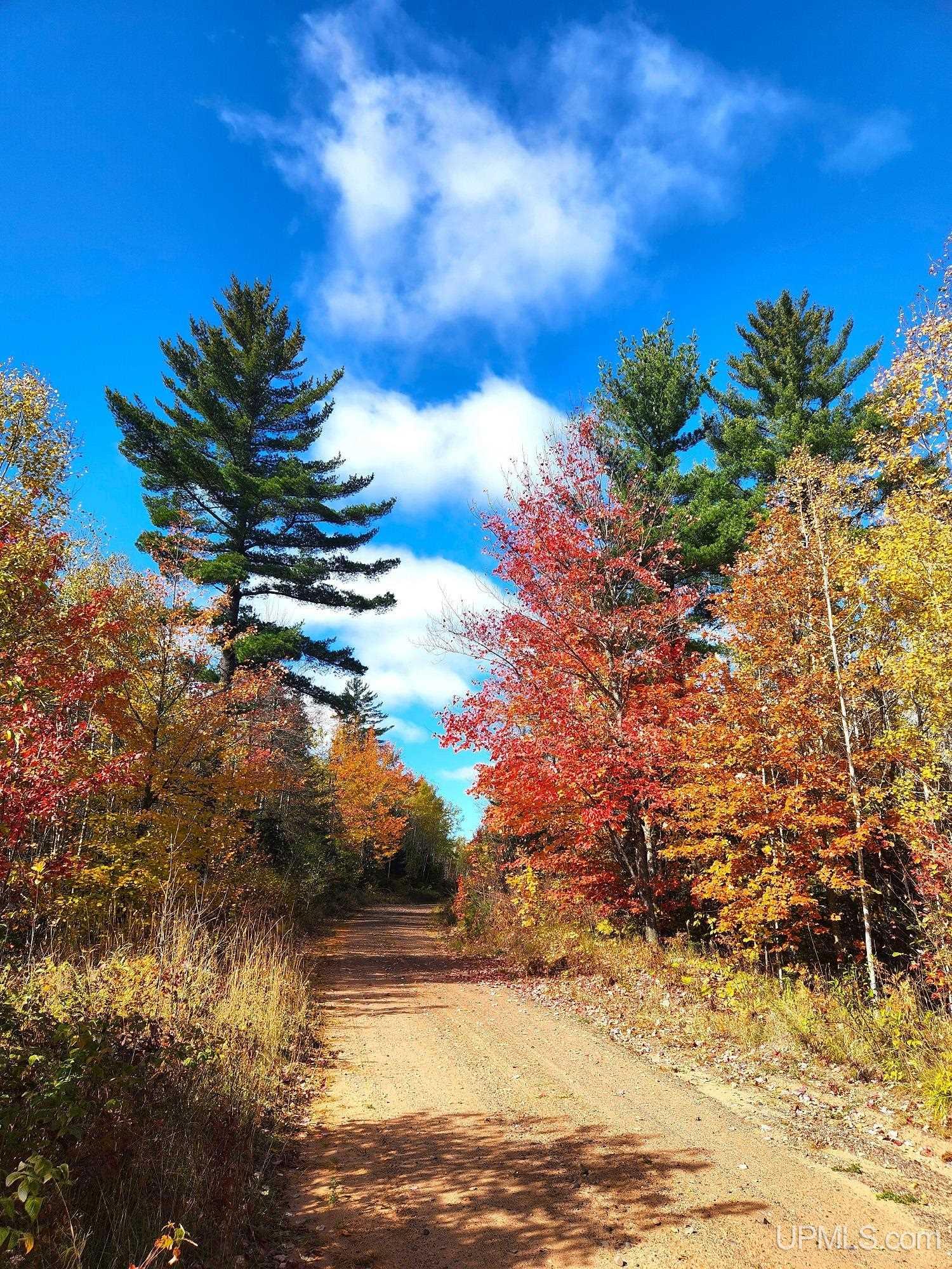 Land Listing MLS Number 50157690