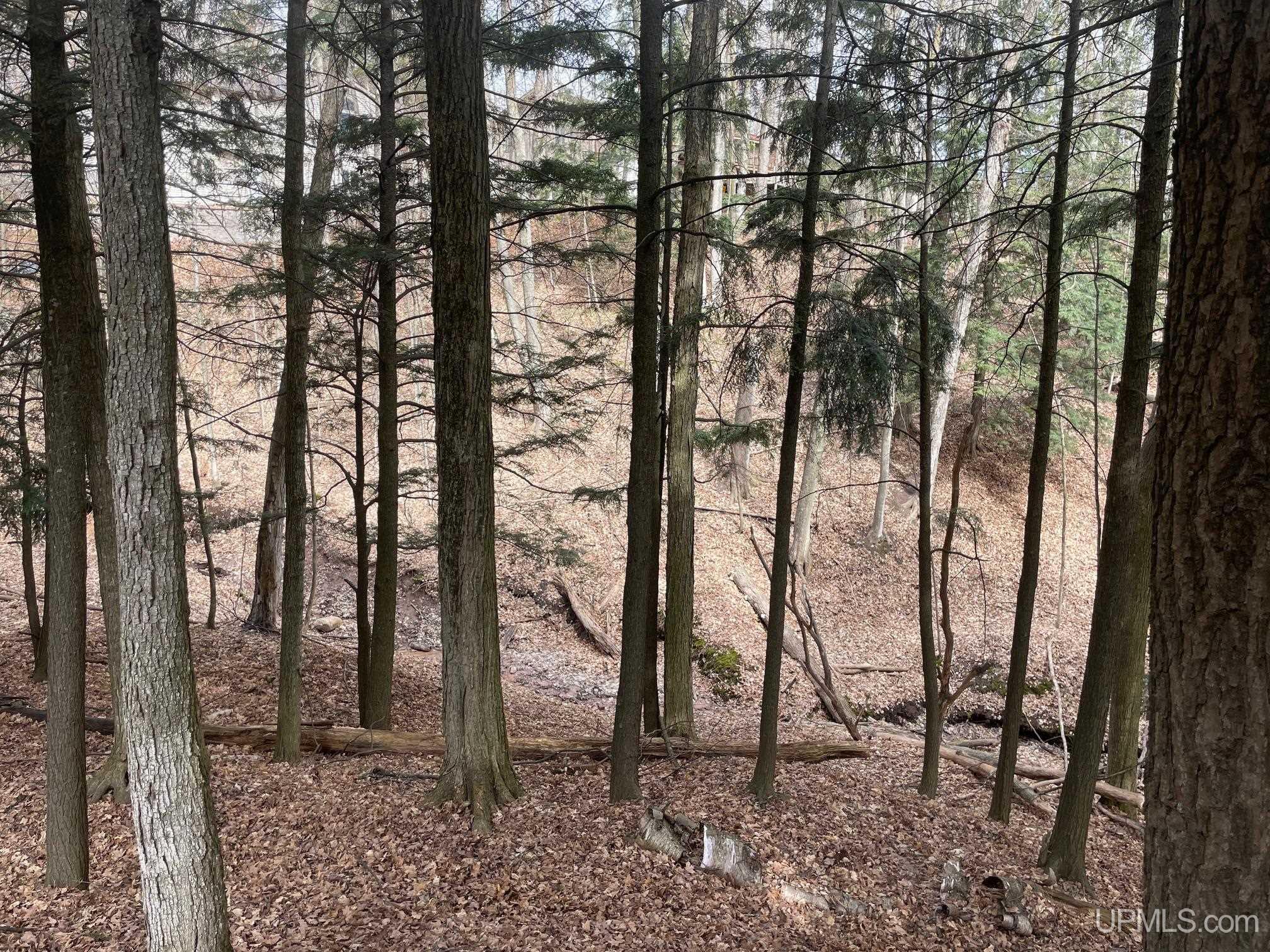 737 Grove Street, Marquette, MI, 49855