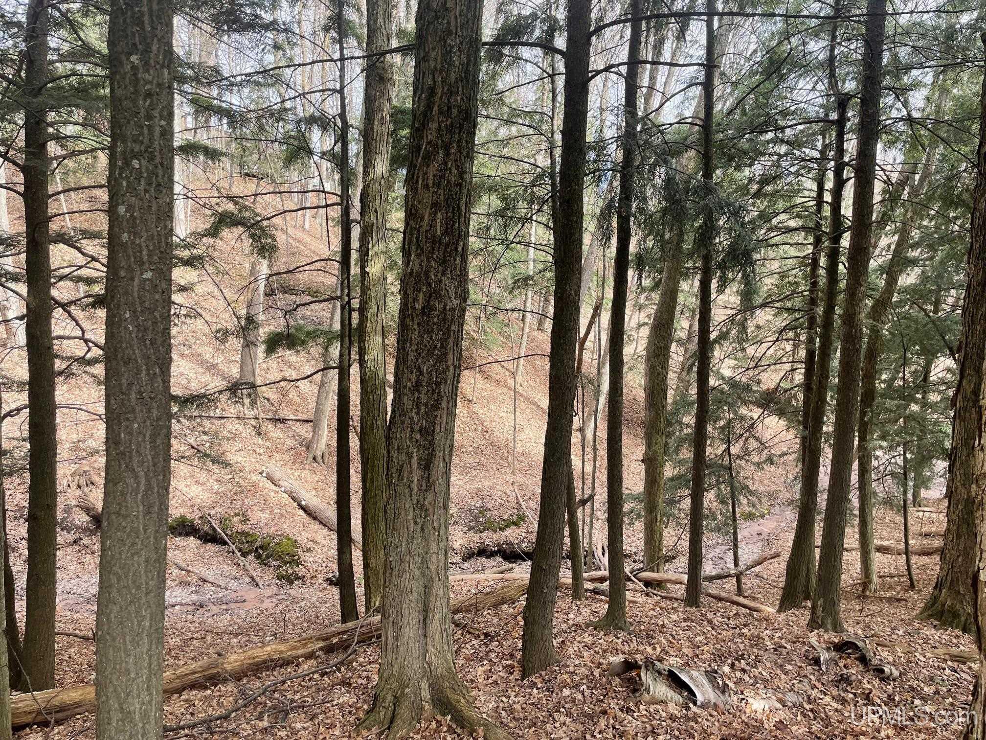 737 Grove Street, Marquette, MI, 49855