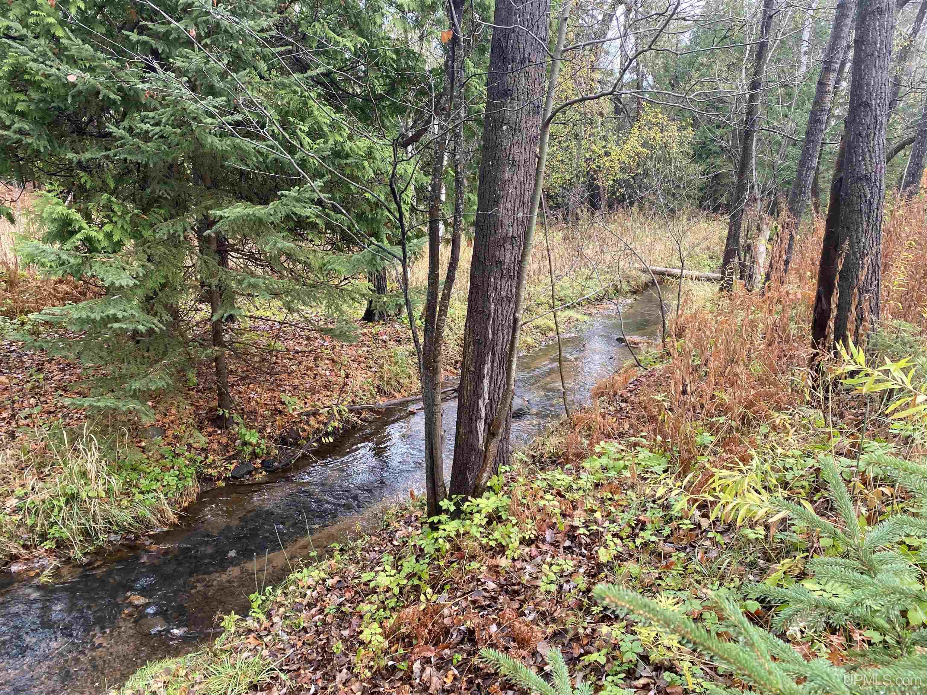 MLS 50160526 Large photo number 2 