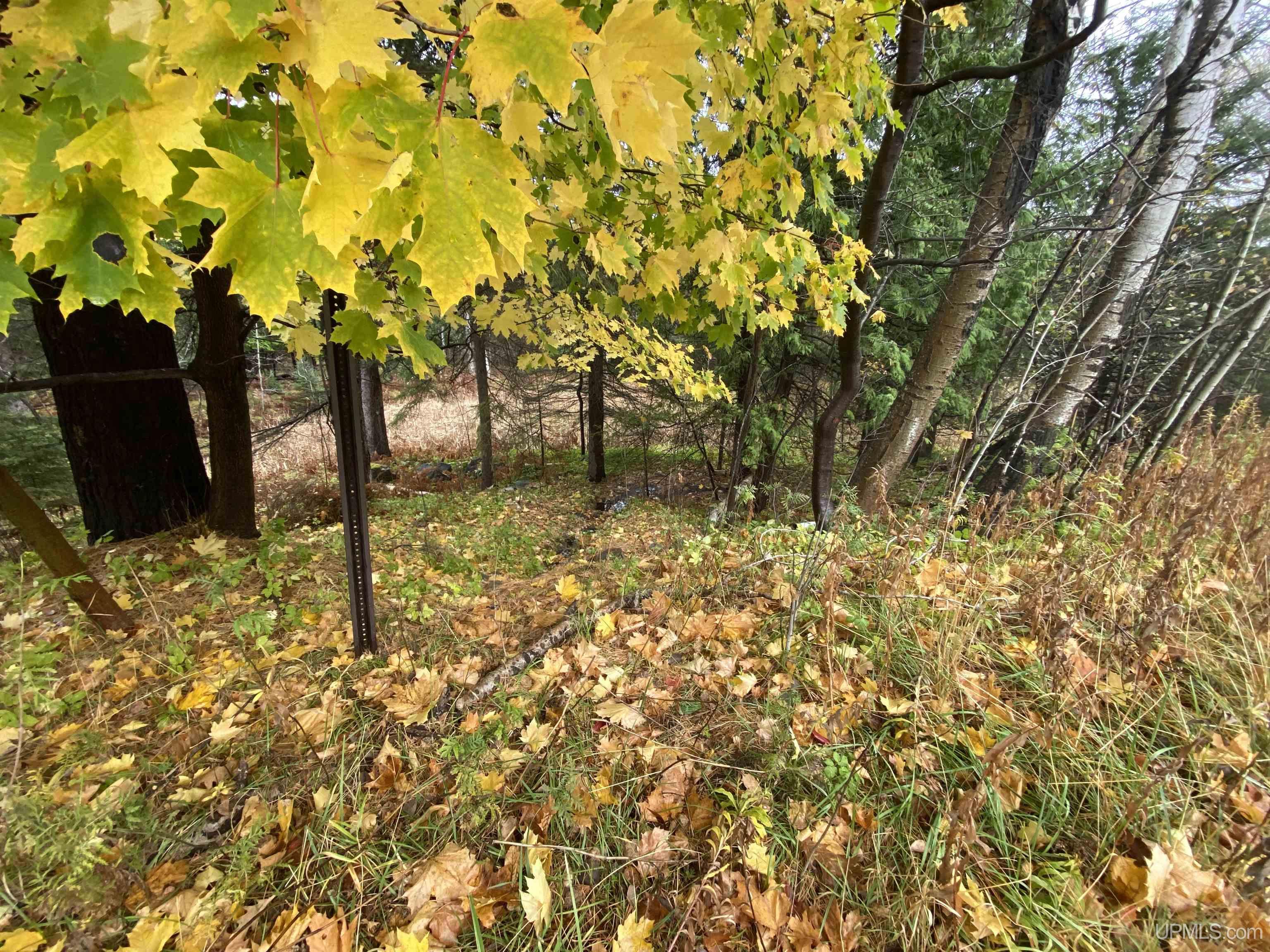 MLS 50160526 Large photo number 12 