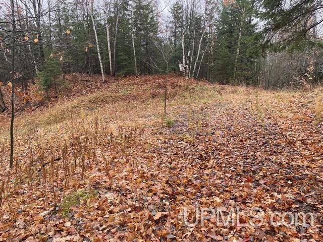 MLS 50160526 Large photo number 13 