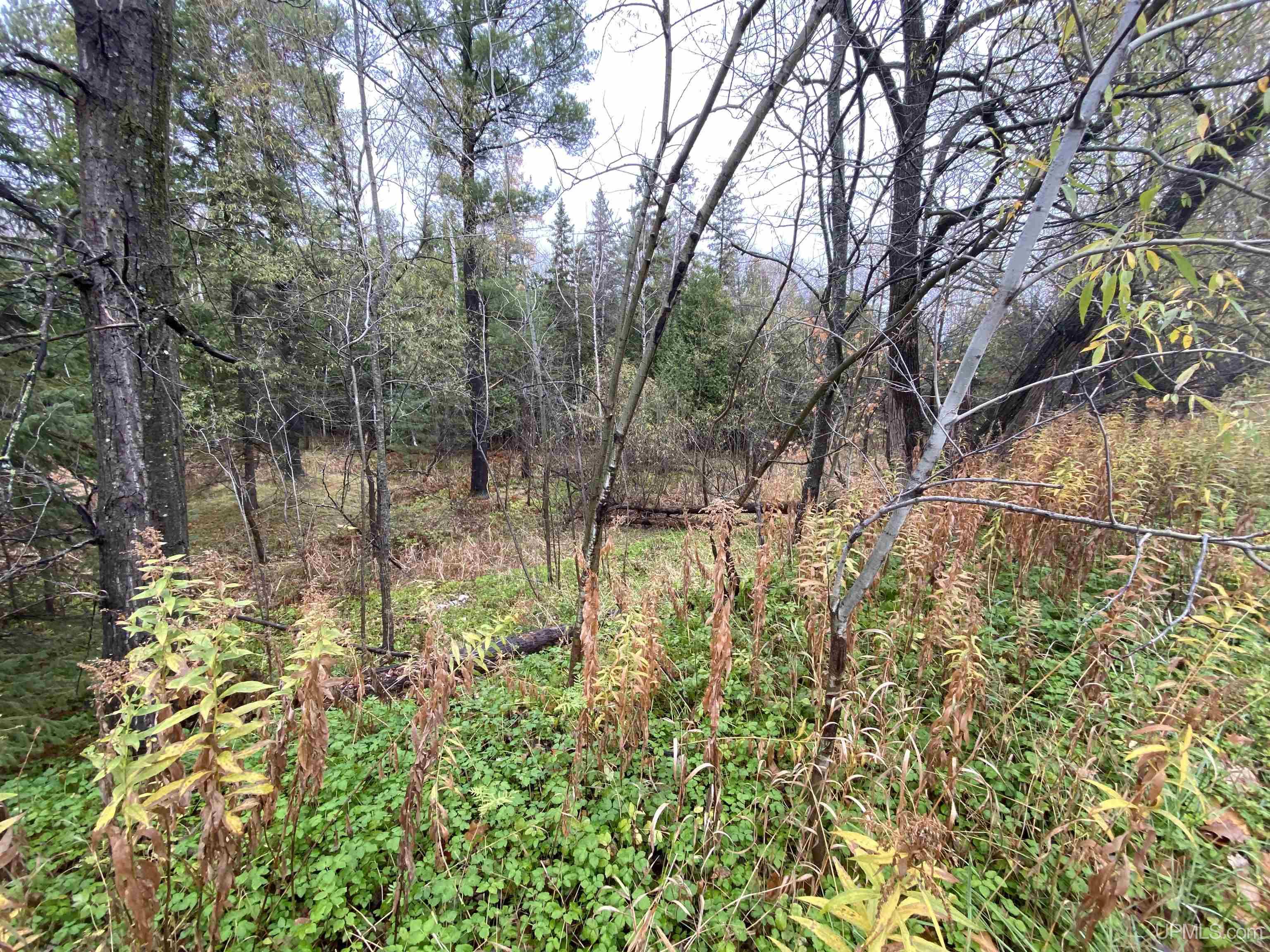 MLS 50160526 Large photo number 10 