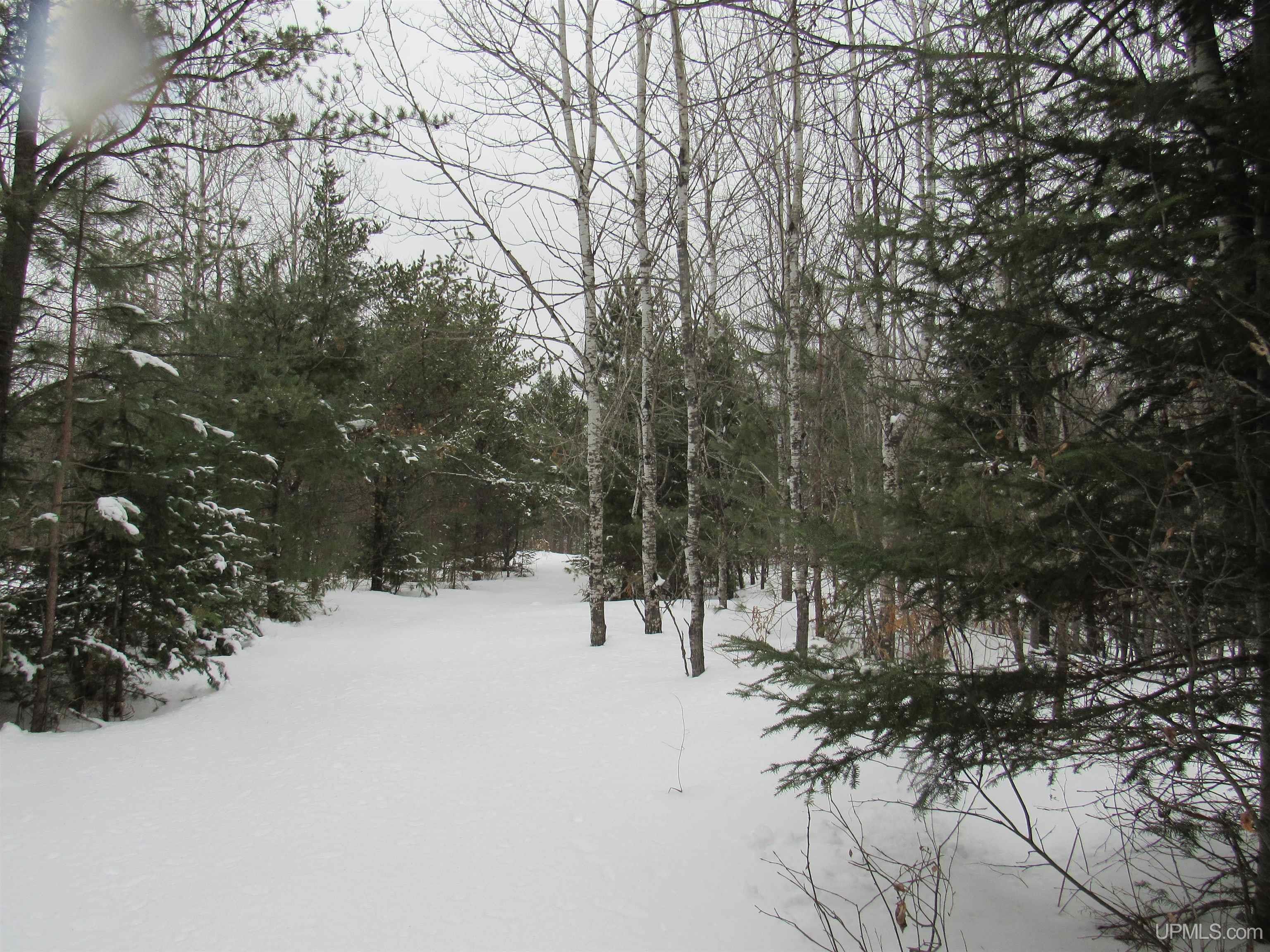 MLS 50166193 Large photo number 13 