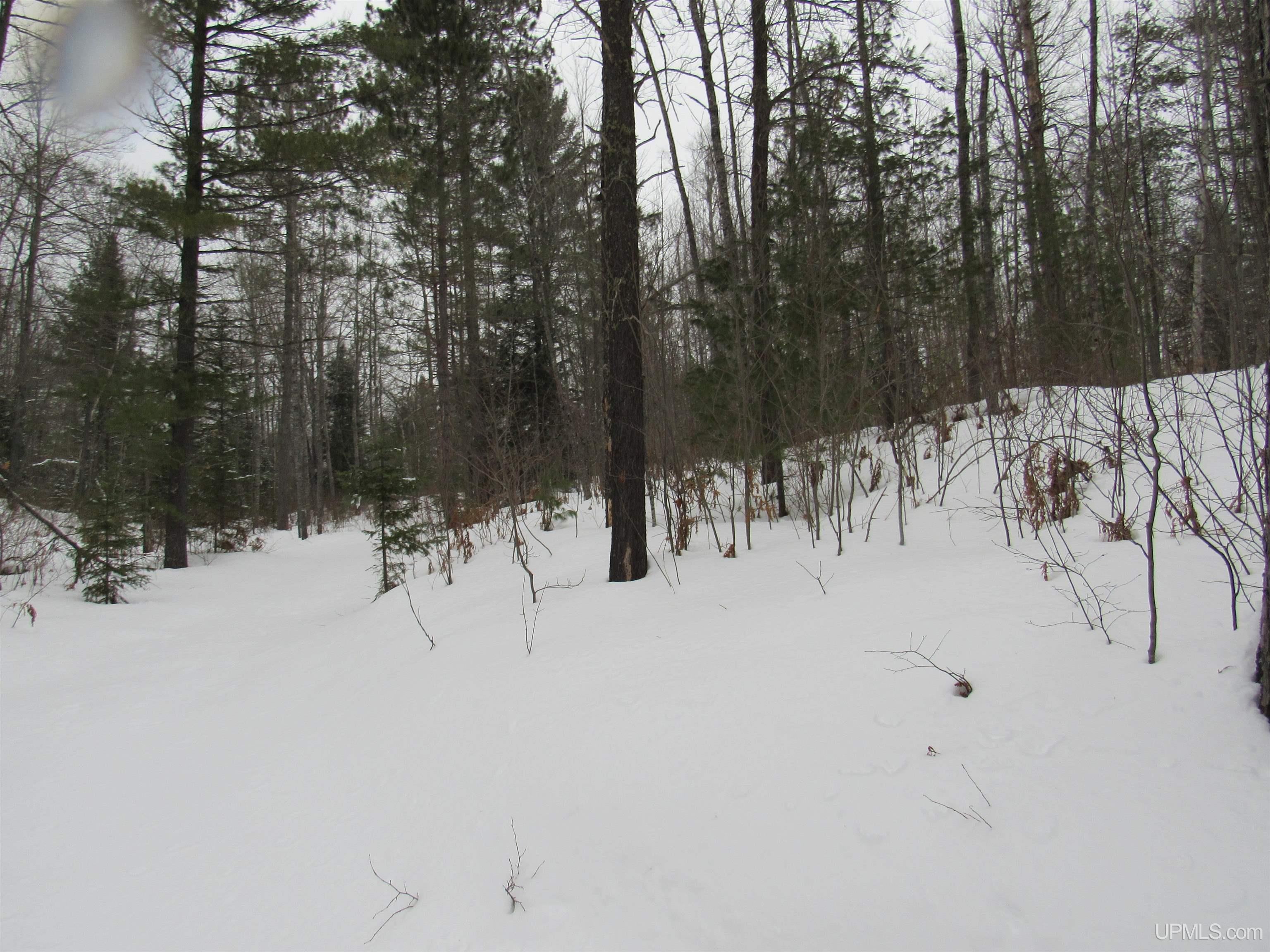 MLS 50166193 Large photo number 22 