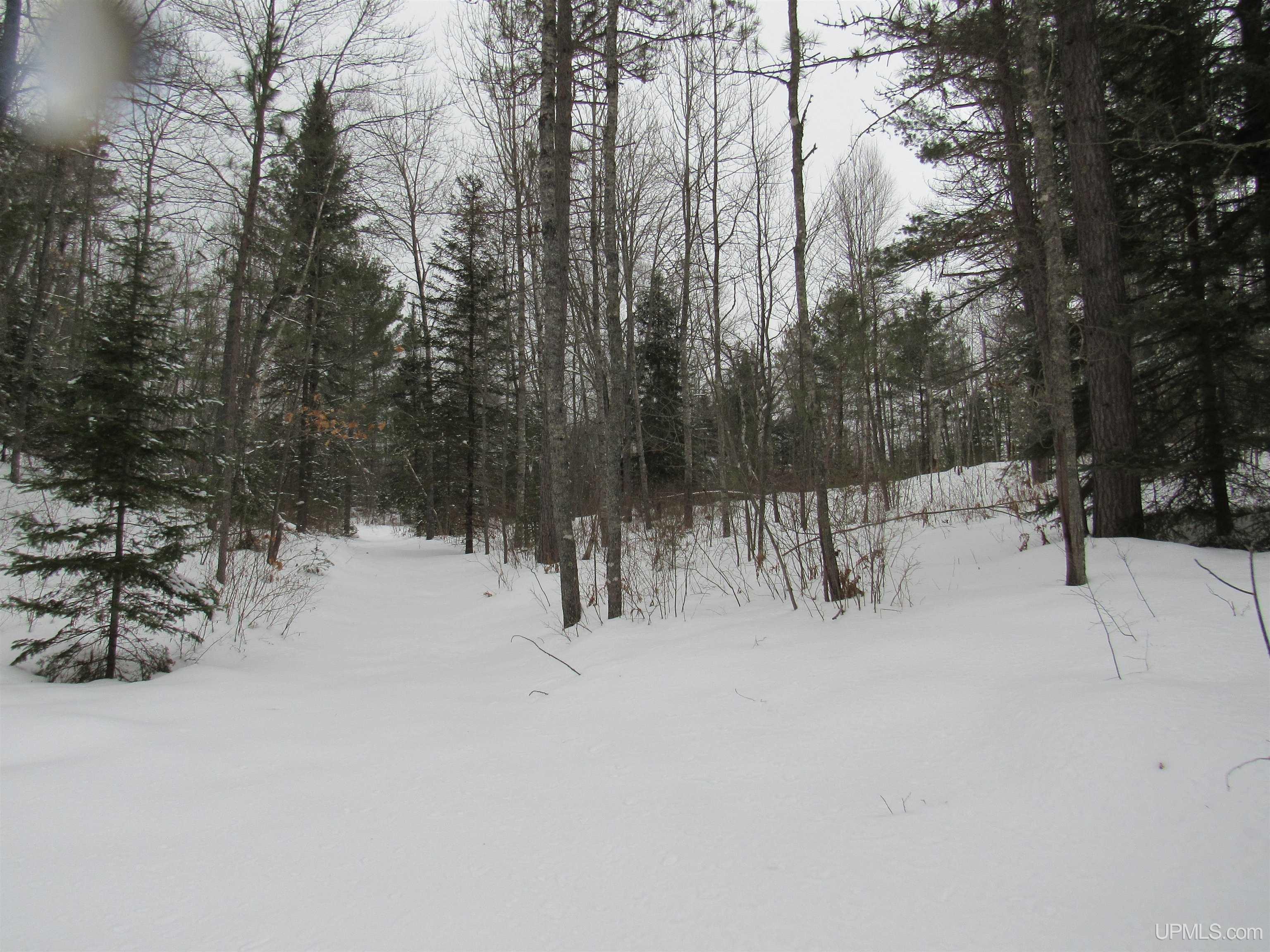 MLS 50166193 Large photo number 23 