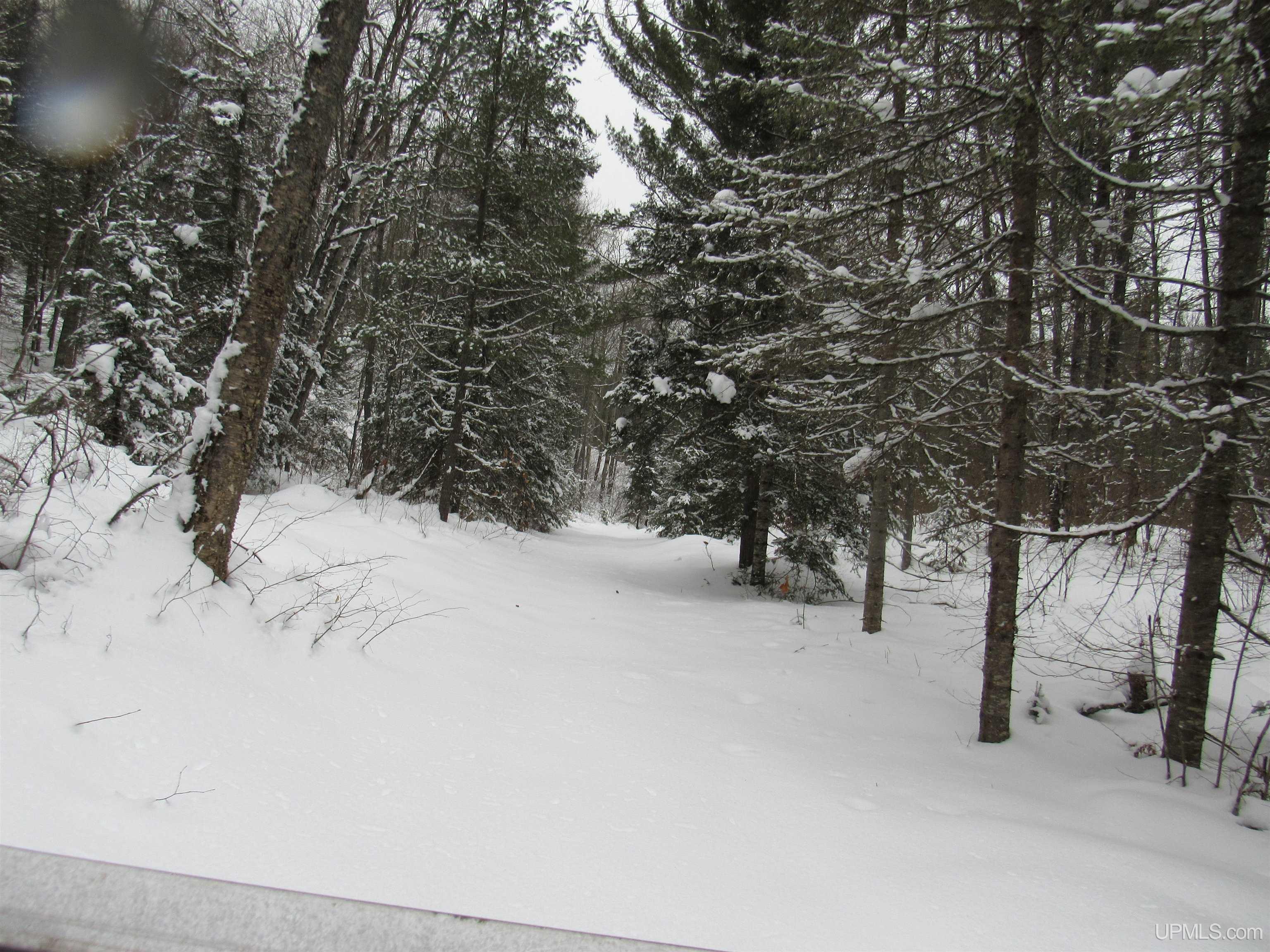 MLS 50166193 Large photo number 25 
