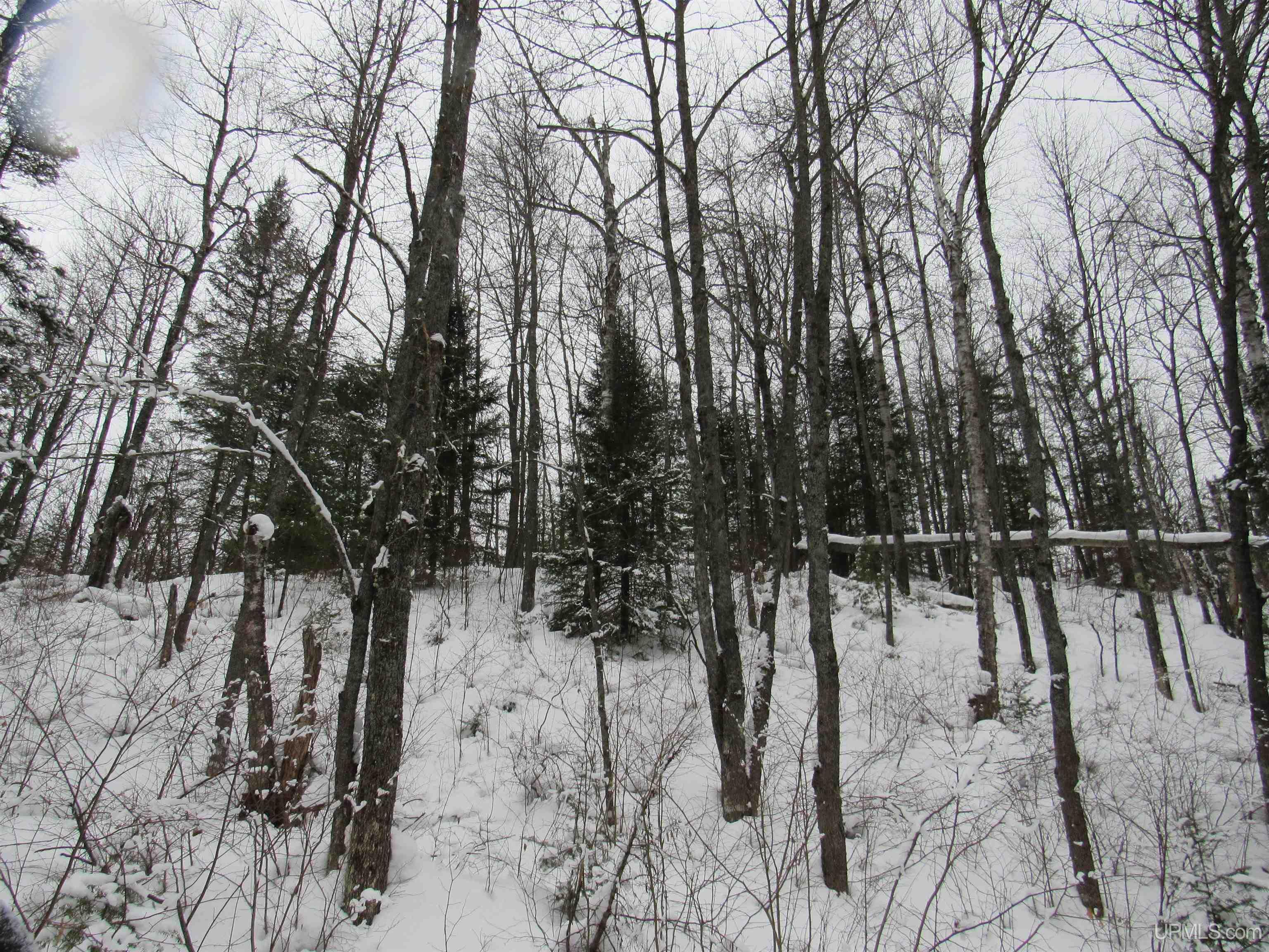 MLS 50166193 Large photo number 27 