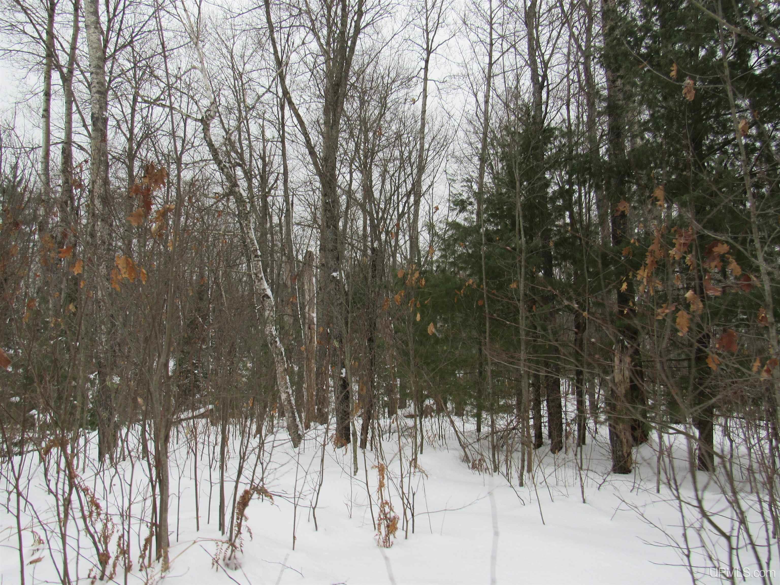 MLS 50166193 Large photo number 4 