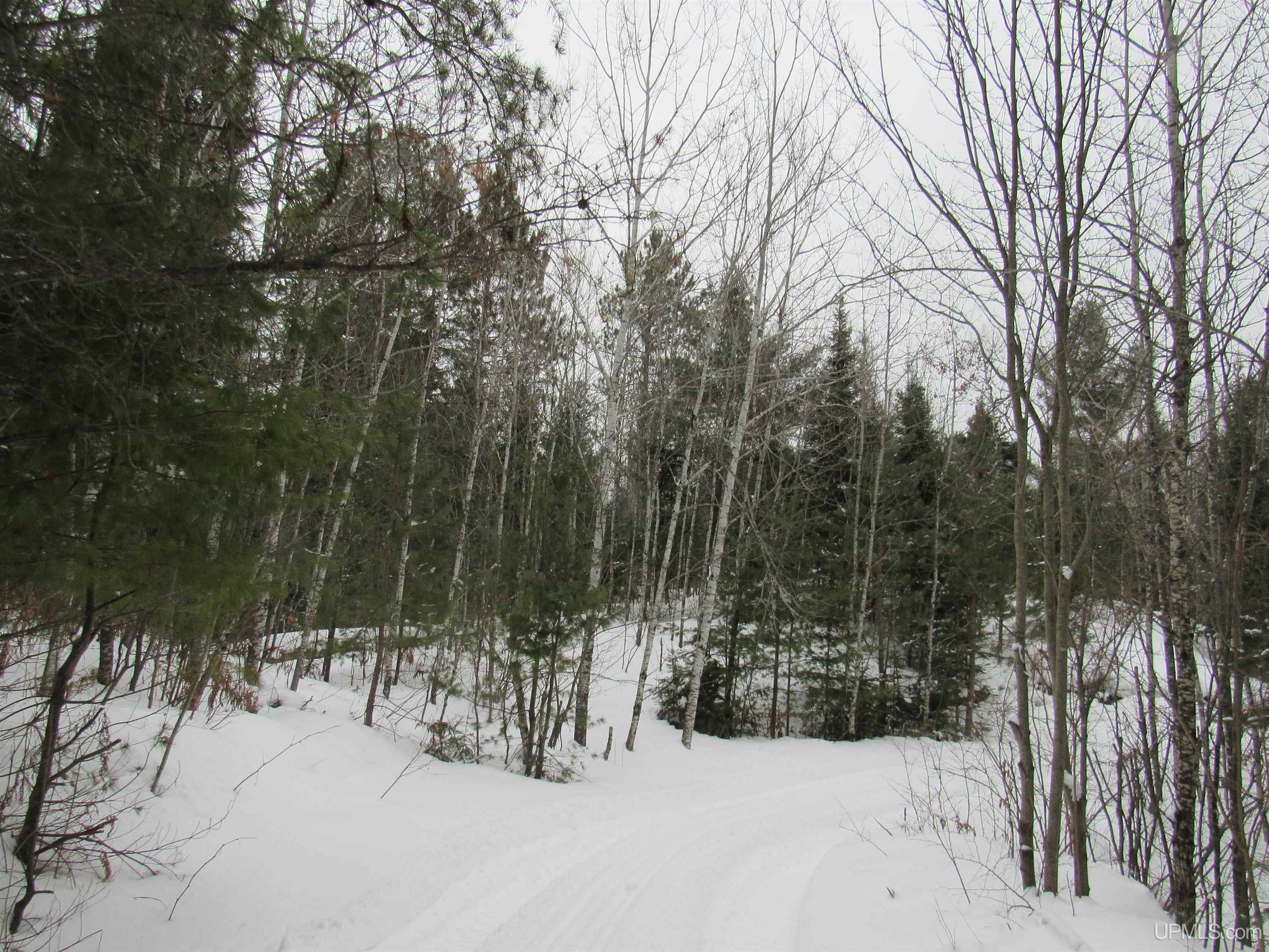 MLS 50166193 Large photo number 33 