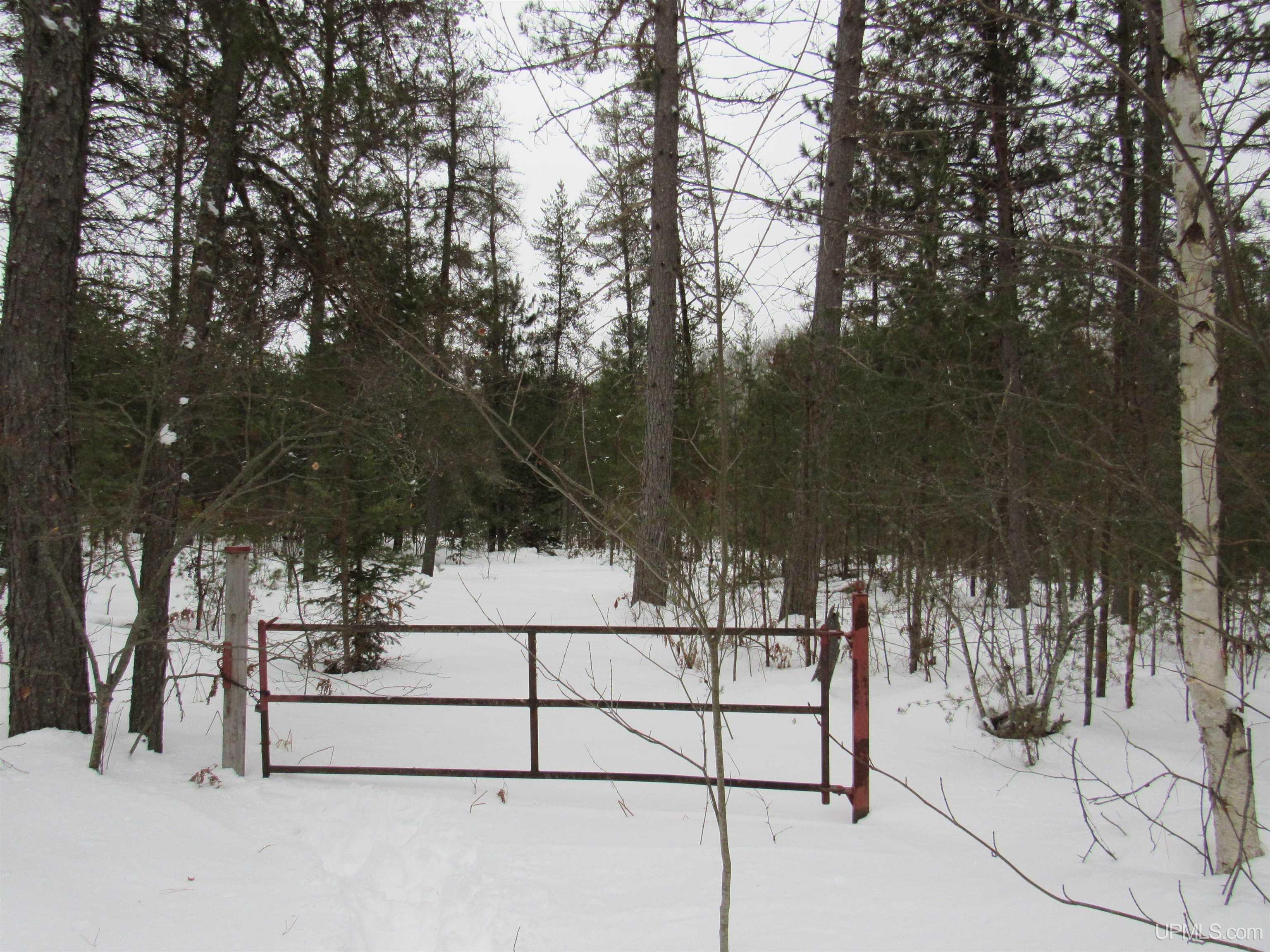 MLS 50166193 Large photo number 44 