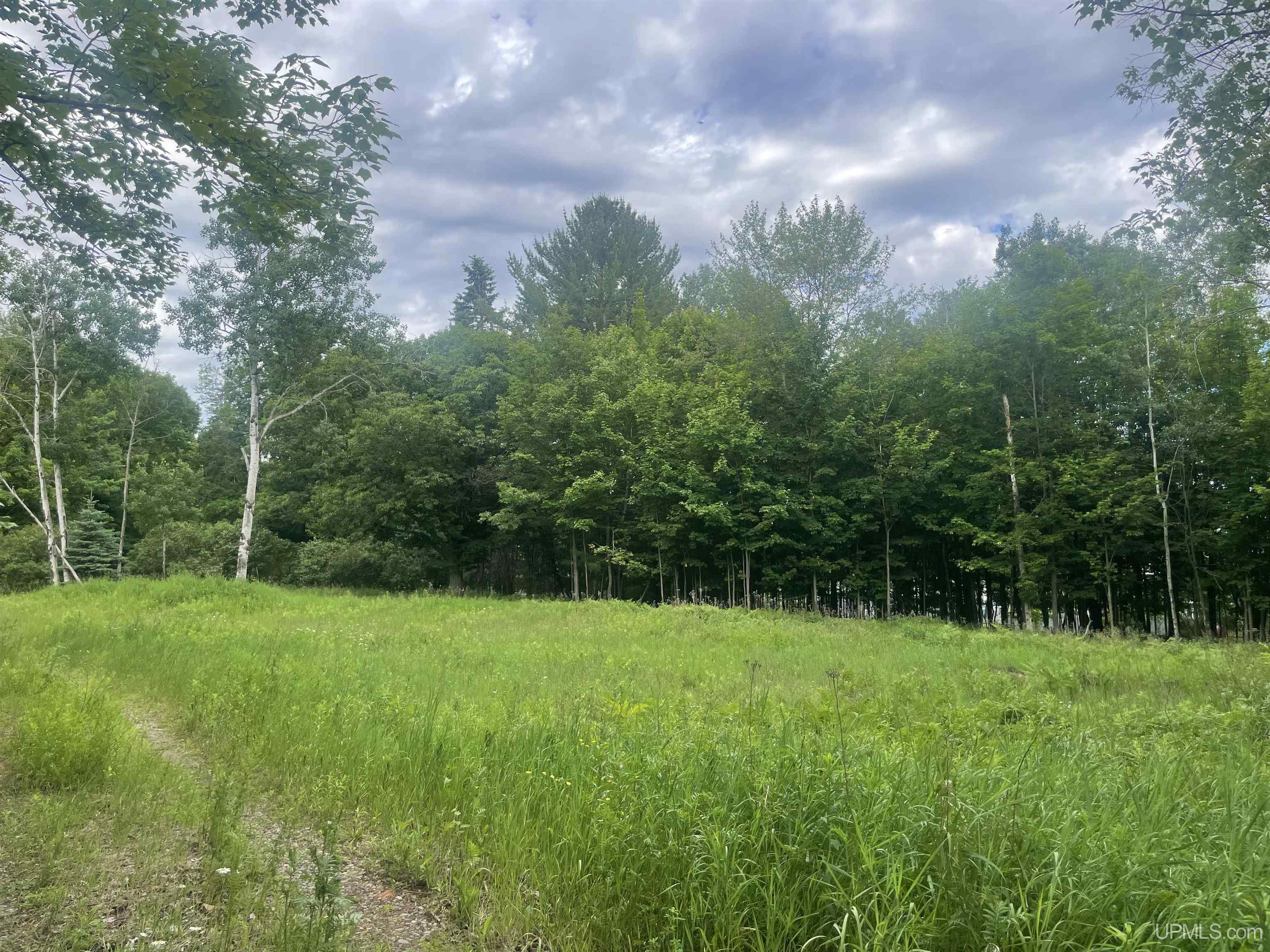 1507 W Fair Avenue, Marquette MI 49855, 50166723