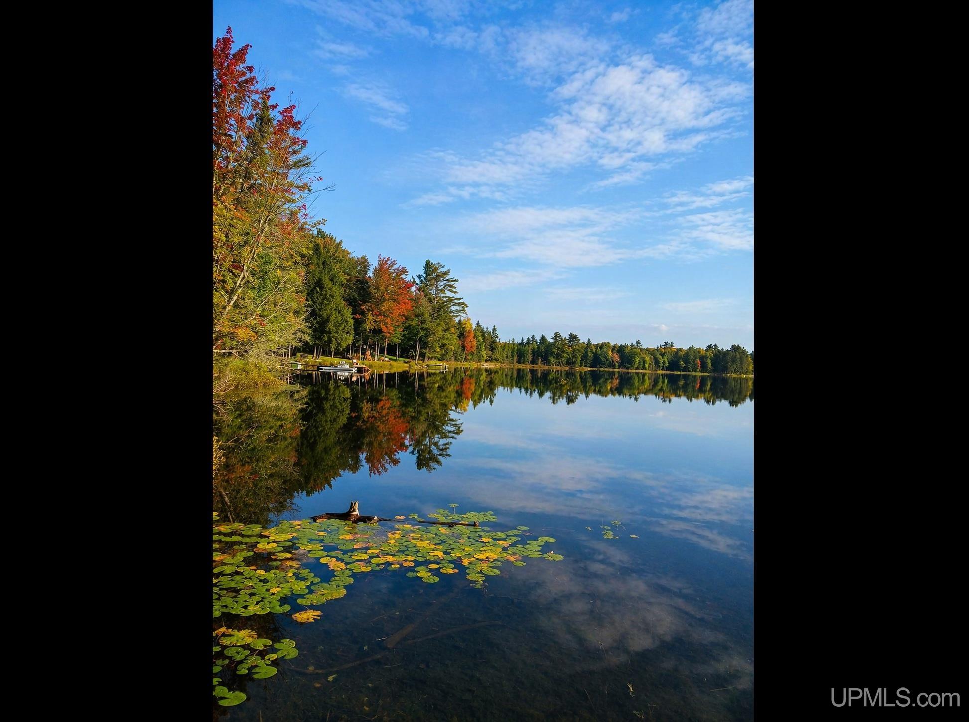 7258 E Pickard Road, Mount Pleasant, MI, 48858
