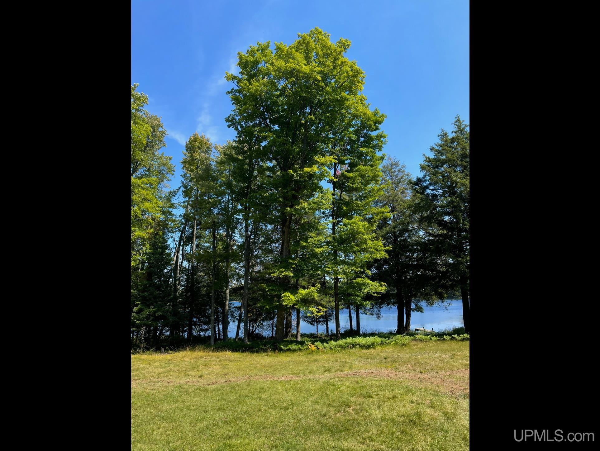 301A-301B Robinson Lake Road, Iron River, MI, 49935