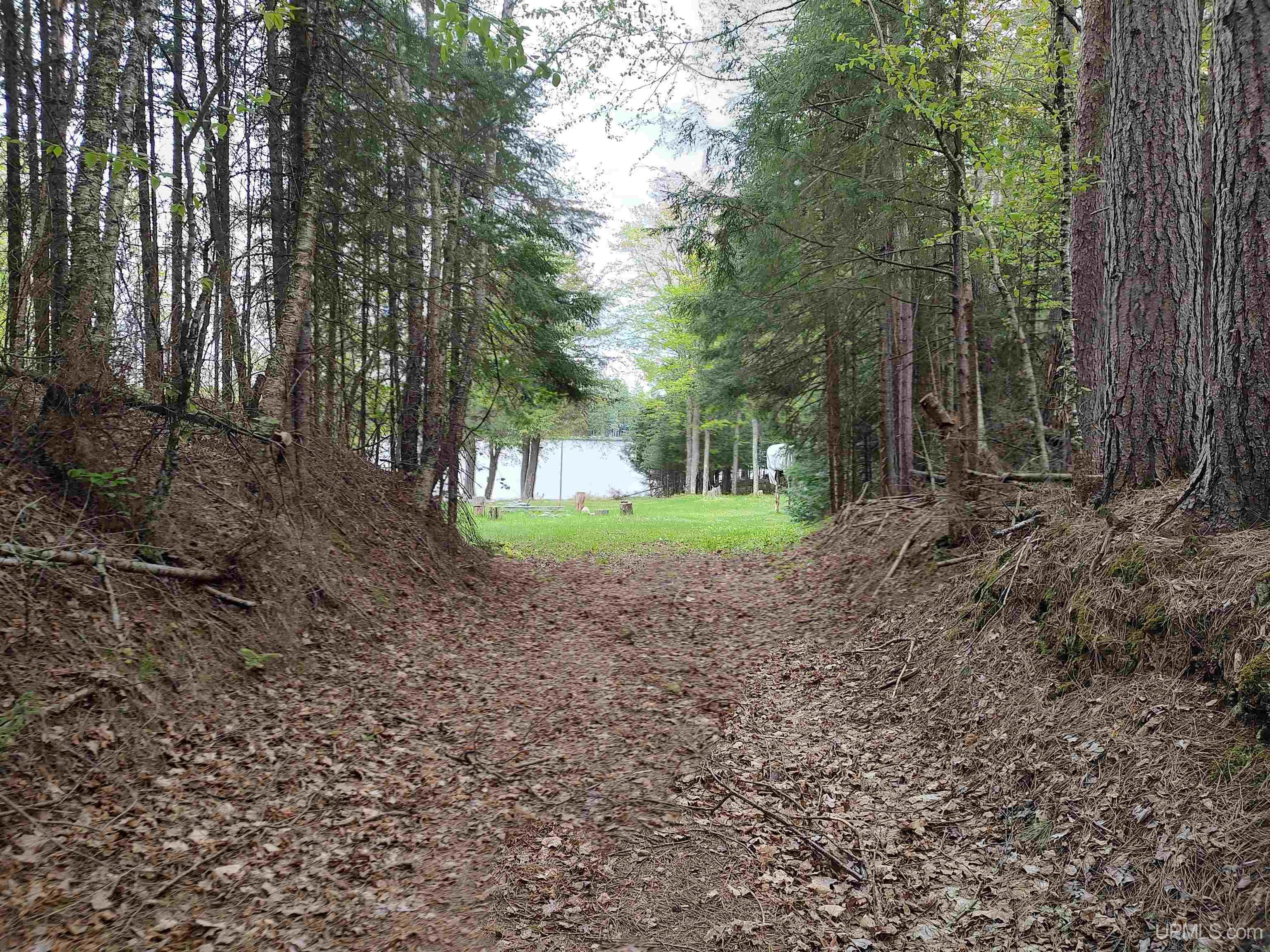 301A-301B Robinson Lake Road, Iron River, MI, 49935