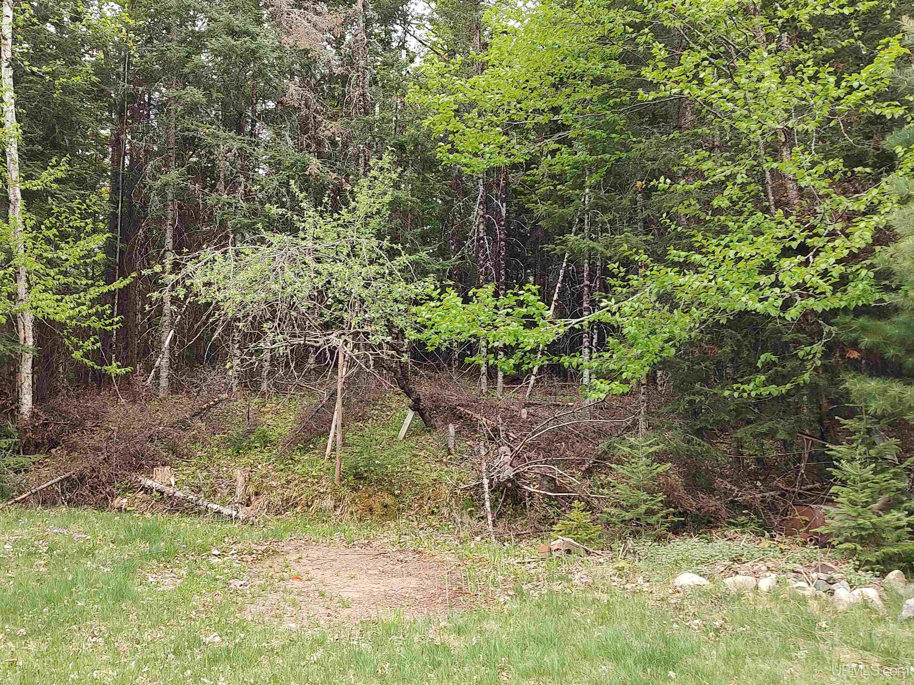 301A-301B Robinson Lake Road, Iron River, MI, 49935