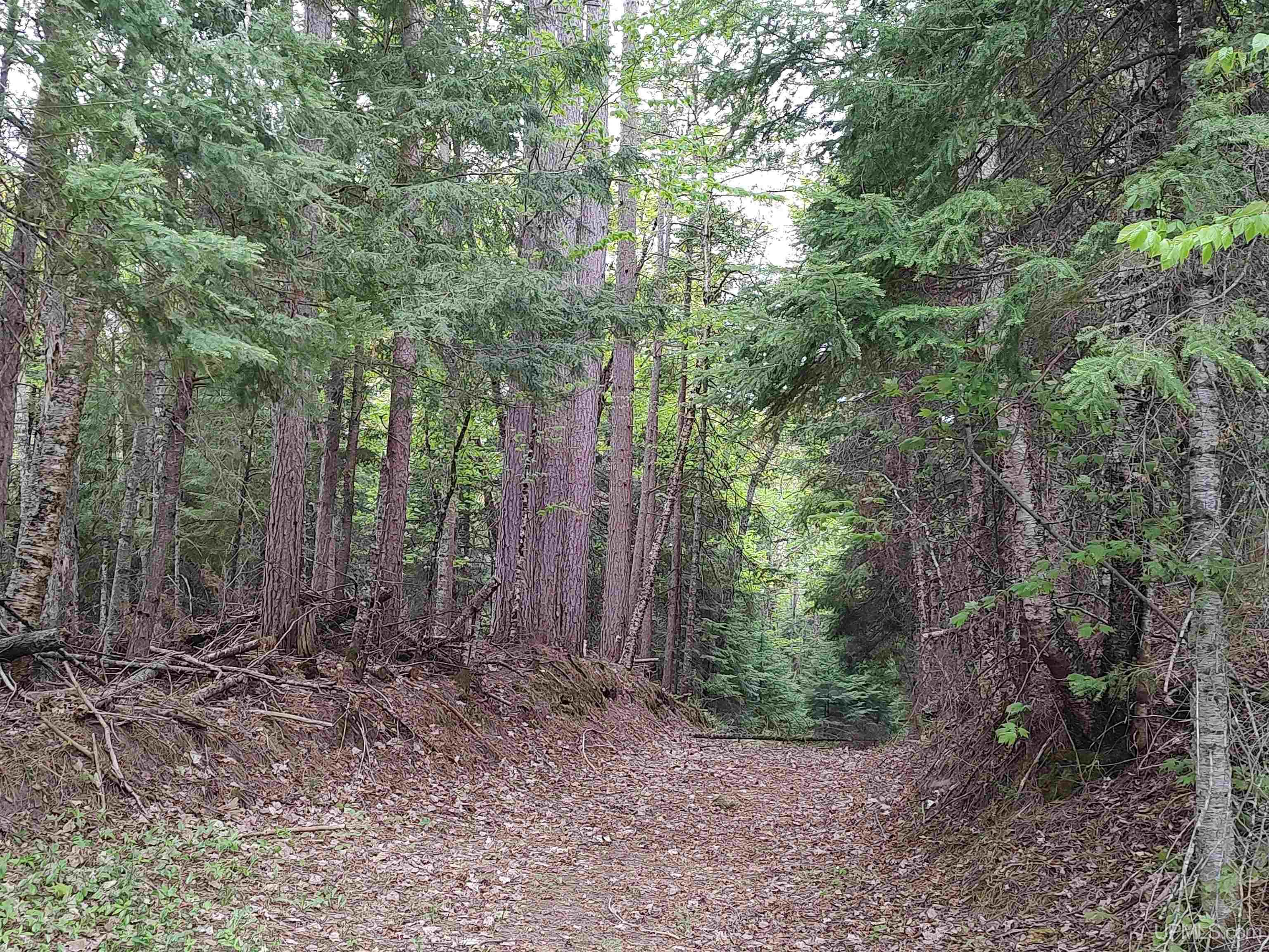 301A-301B Robinson Lake Road, Iron River, MI, 49935