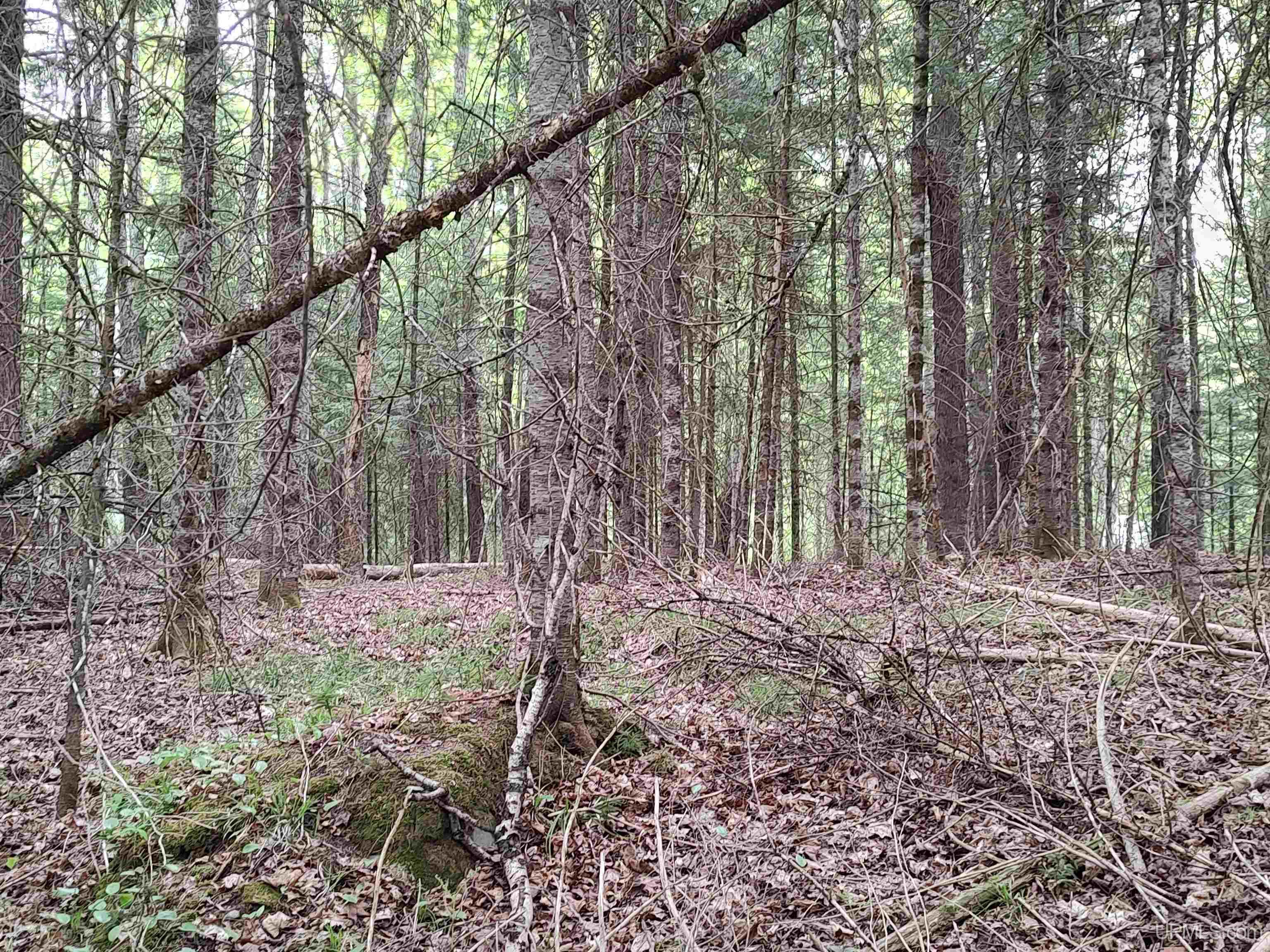 301A-301B Robinson Lake Road, Iron River, MI, 49935