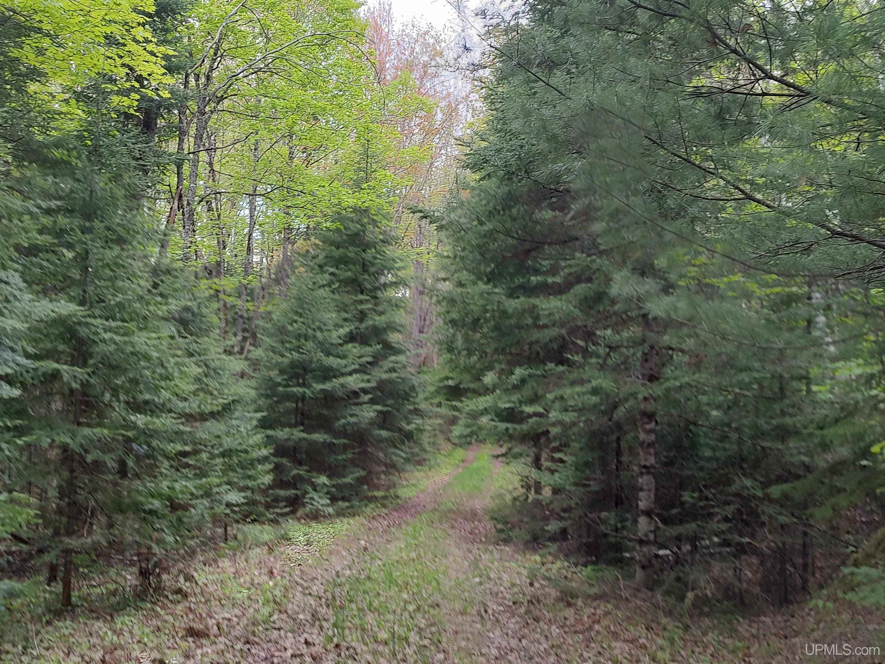 301A-301B Robinson Lake Road, Iron River, MI, 49935