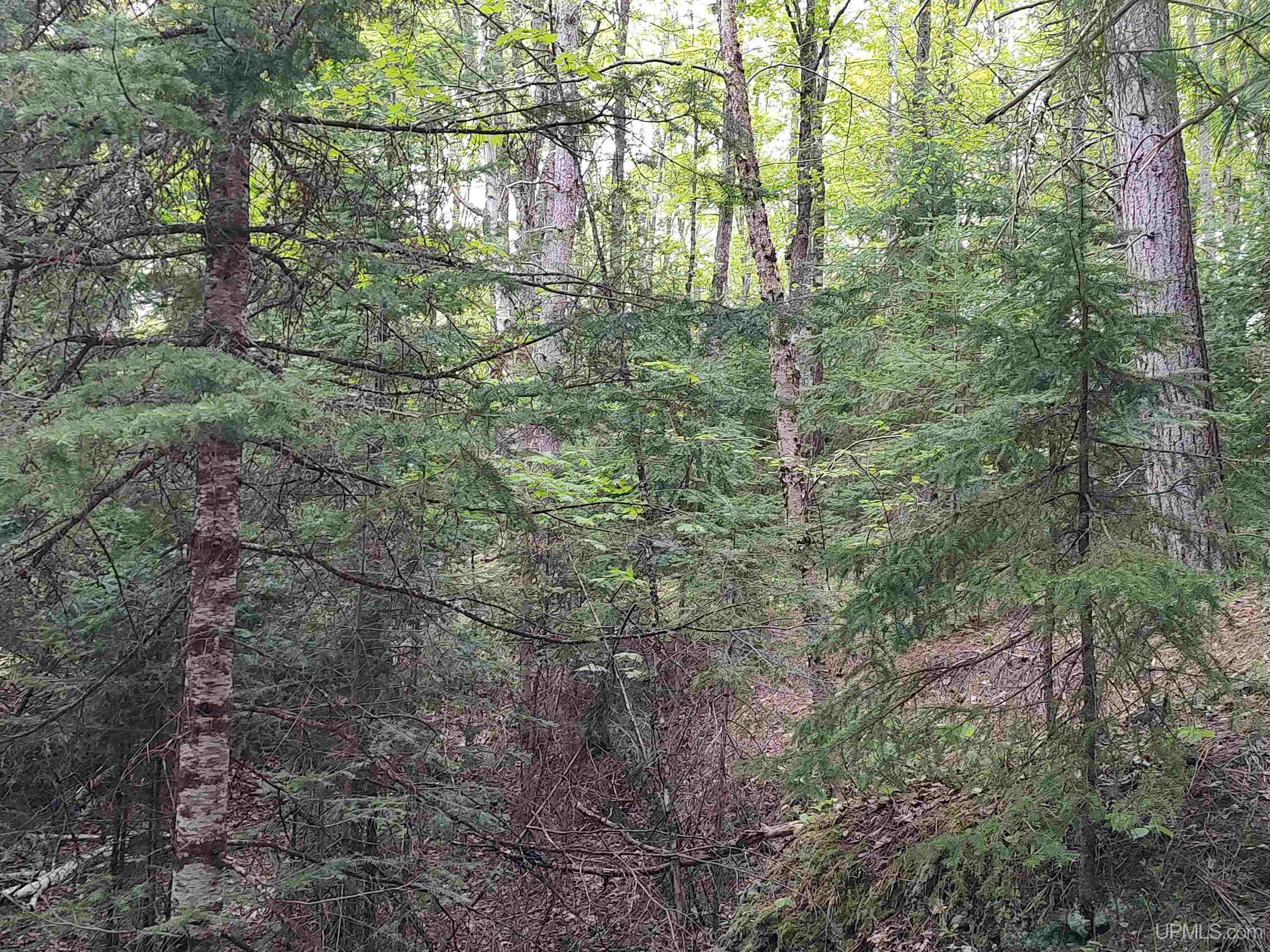 301A-301B Robinson Lake Road, Iron River, MI, 49935