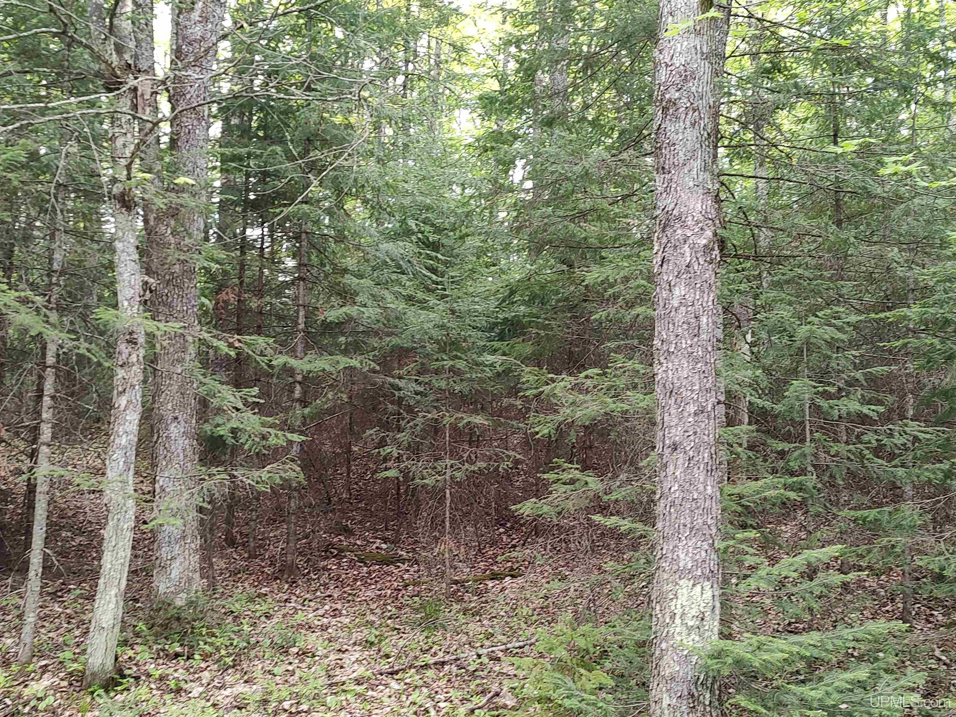 301A-301B Robinson Lake Road, Iron River, MI, 49935