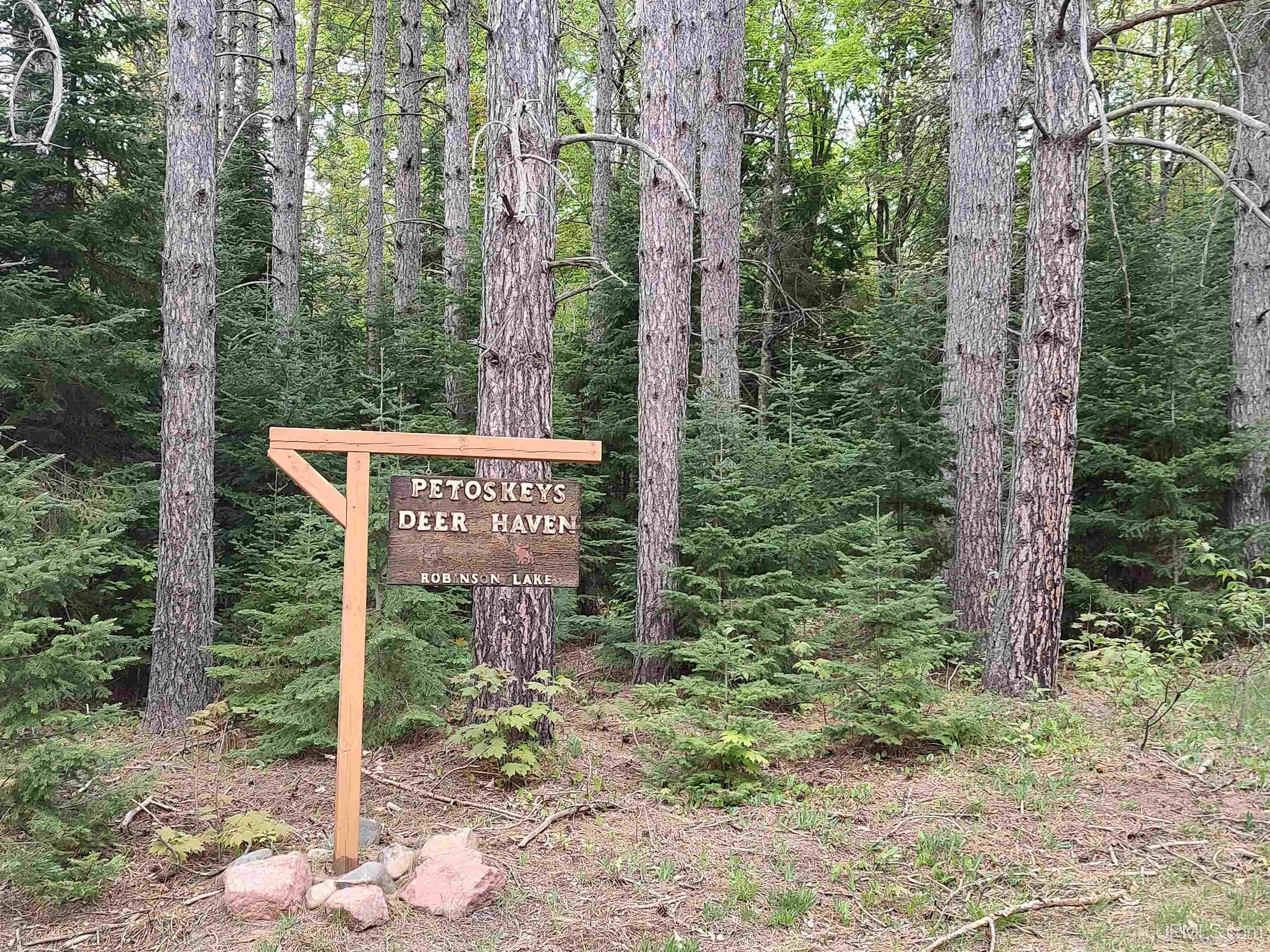 301A-301B Robinson Lake Road, Iron River, MI, 49935
