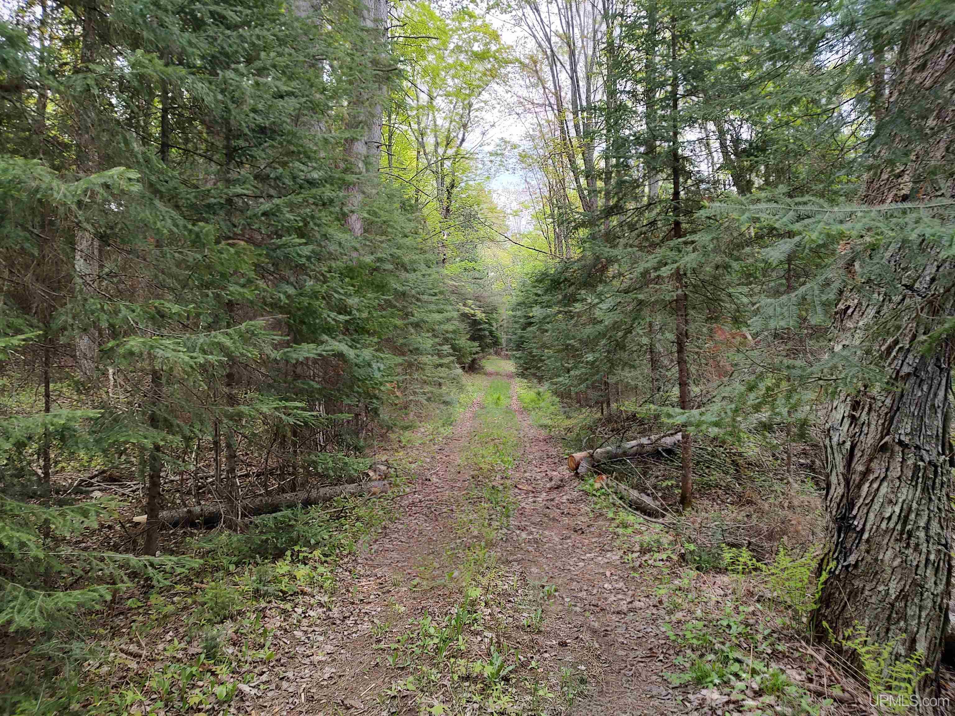 301A-301B Robinson Lake Road, Iron River, MI, 49935