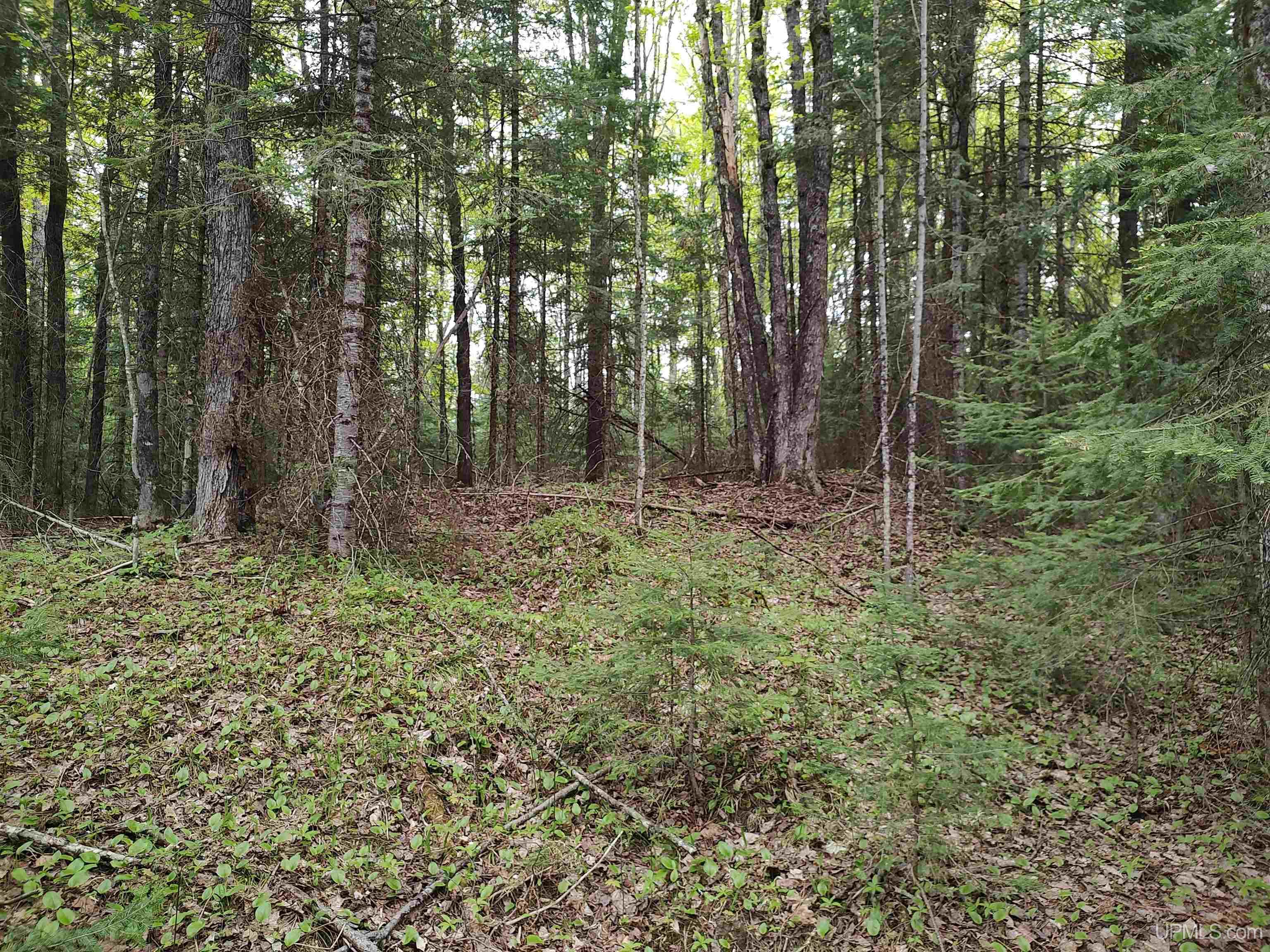 301A-301B Robinson Lake Road, Iron River, MI, 49935