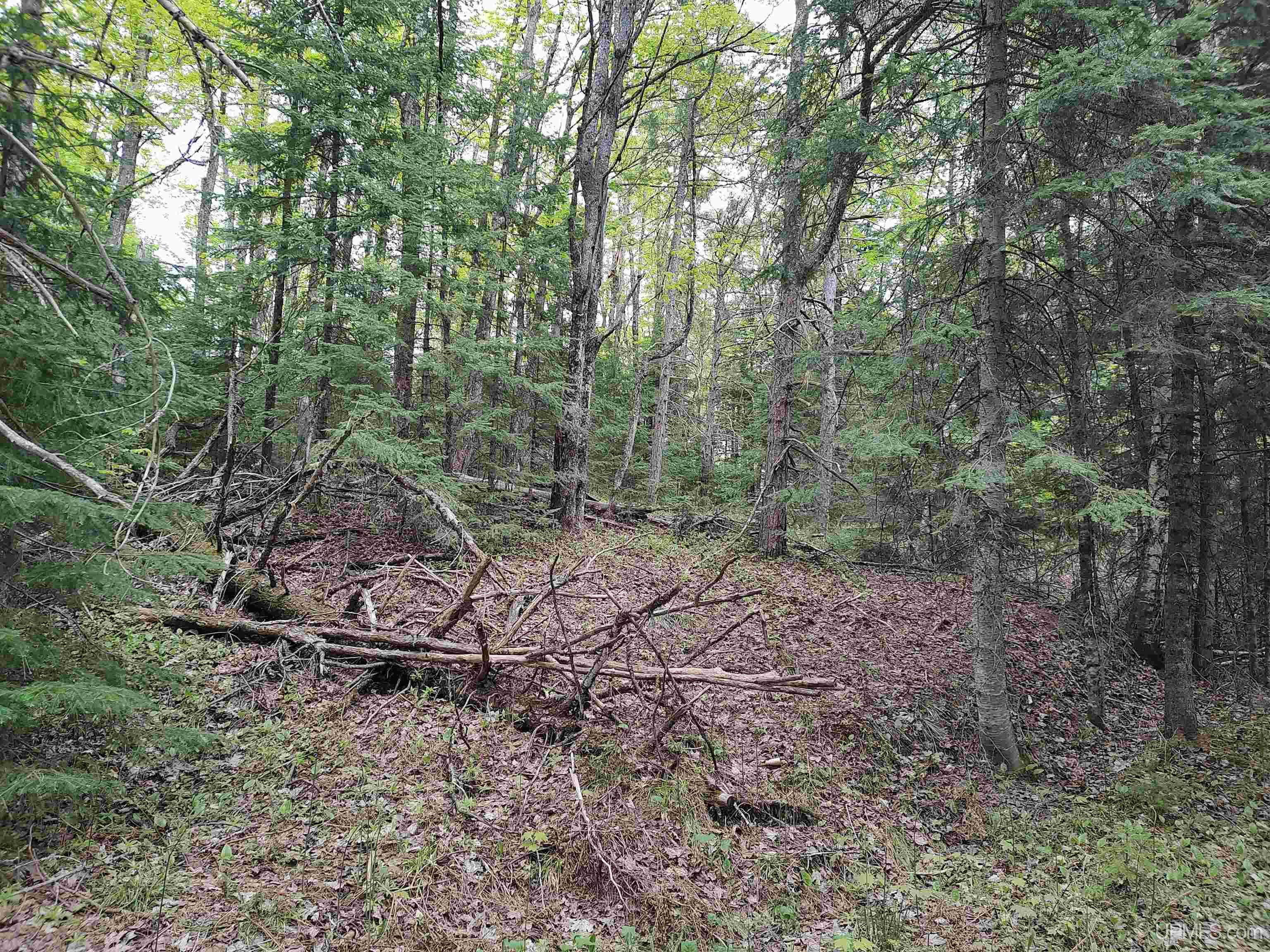 301A-301B Robinson Lake Road, Iron River, MI, 49935