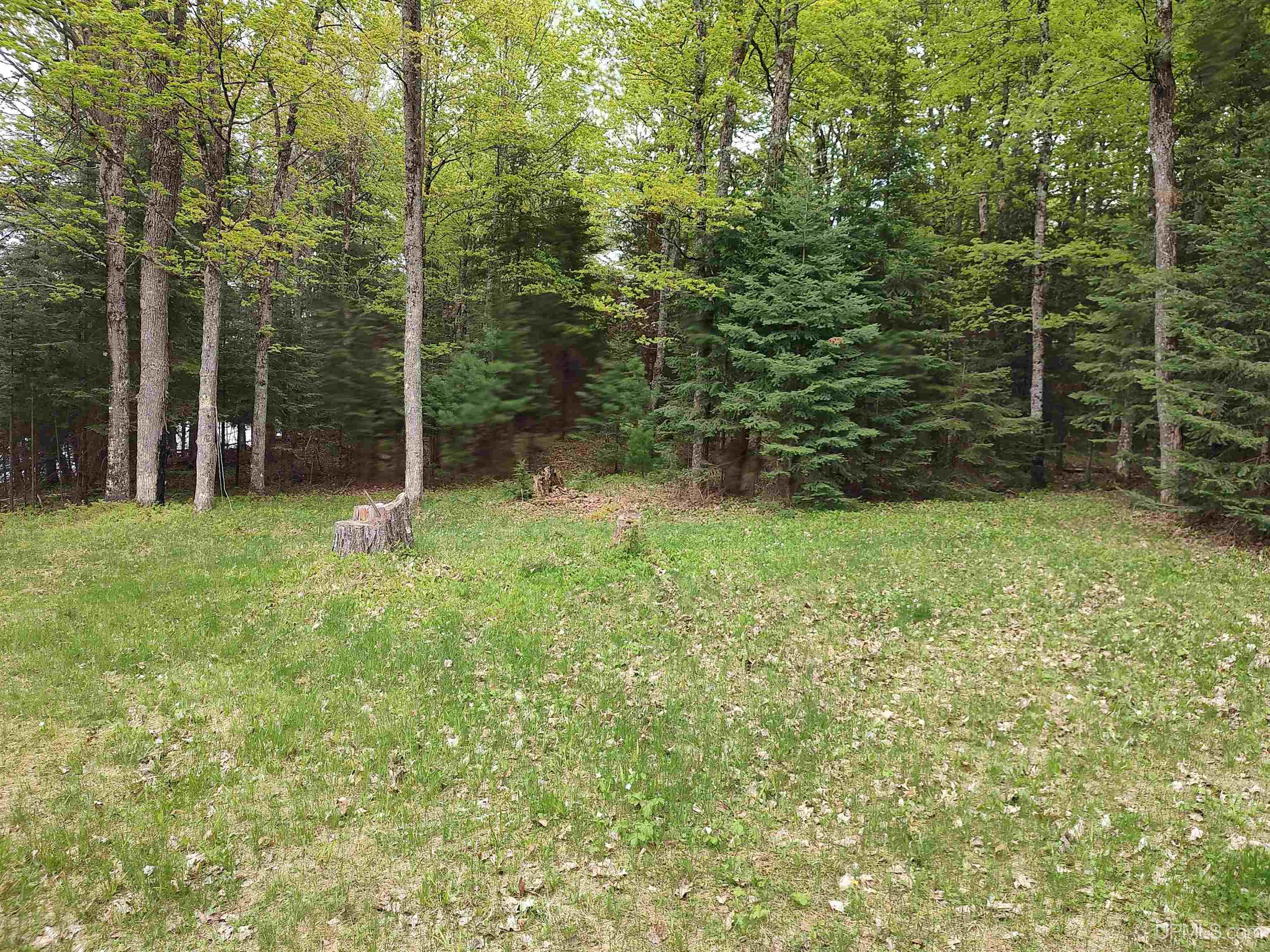 301A-301B Robinson Lake Road, Iron River, MI, 49935