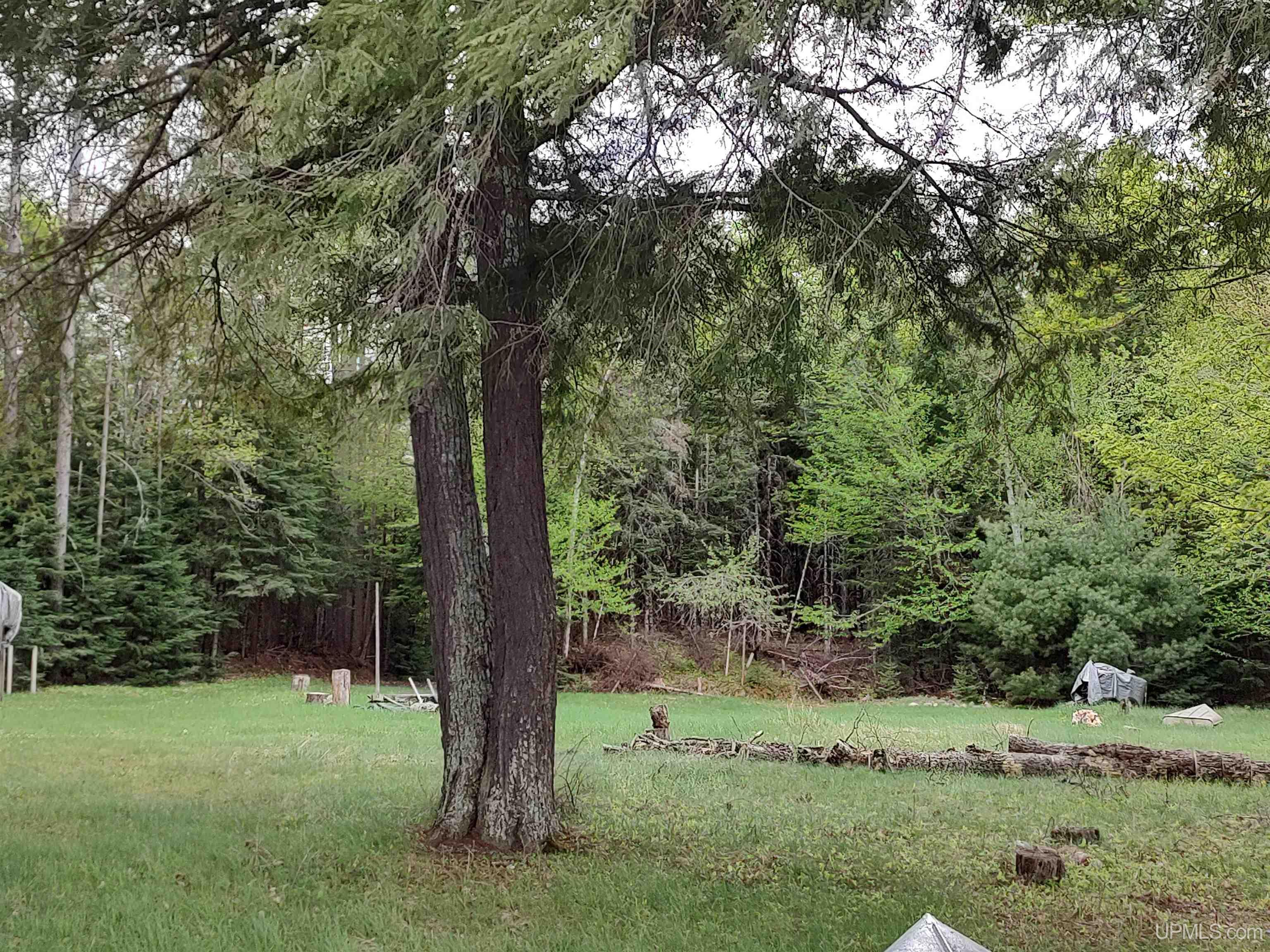 301A-301B Robinson Lake Road, Iron River, MI, 49935