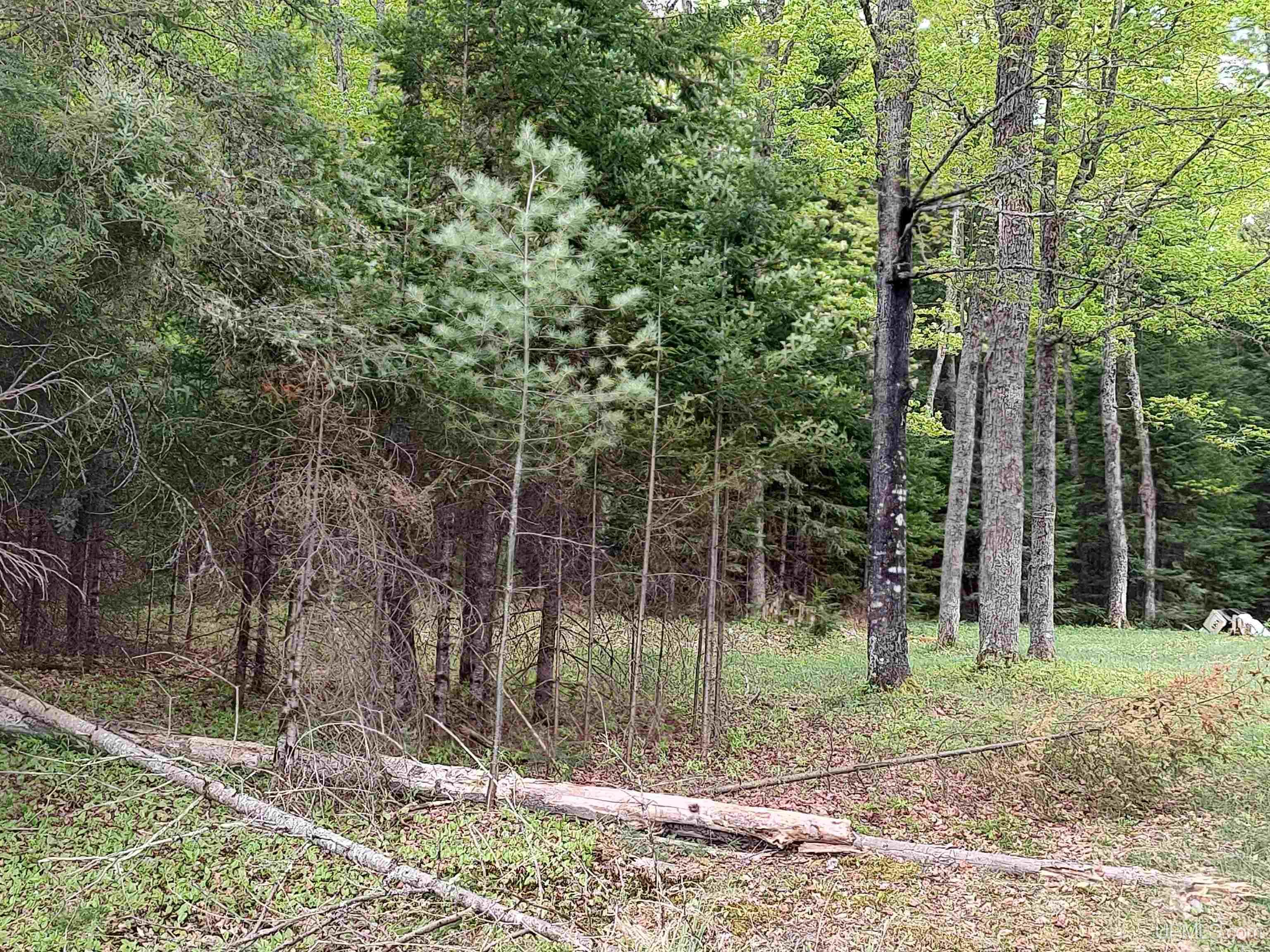 301A-301B Robinson Lake Road, Iron River, MI, 49935