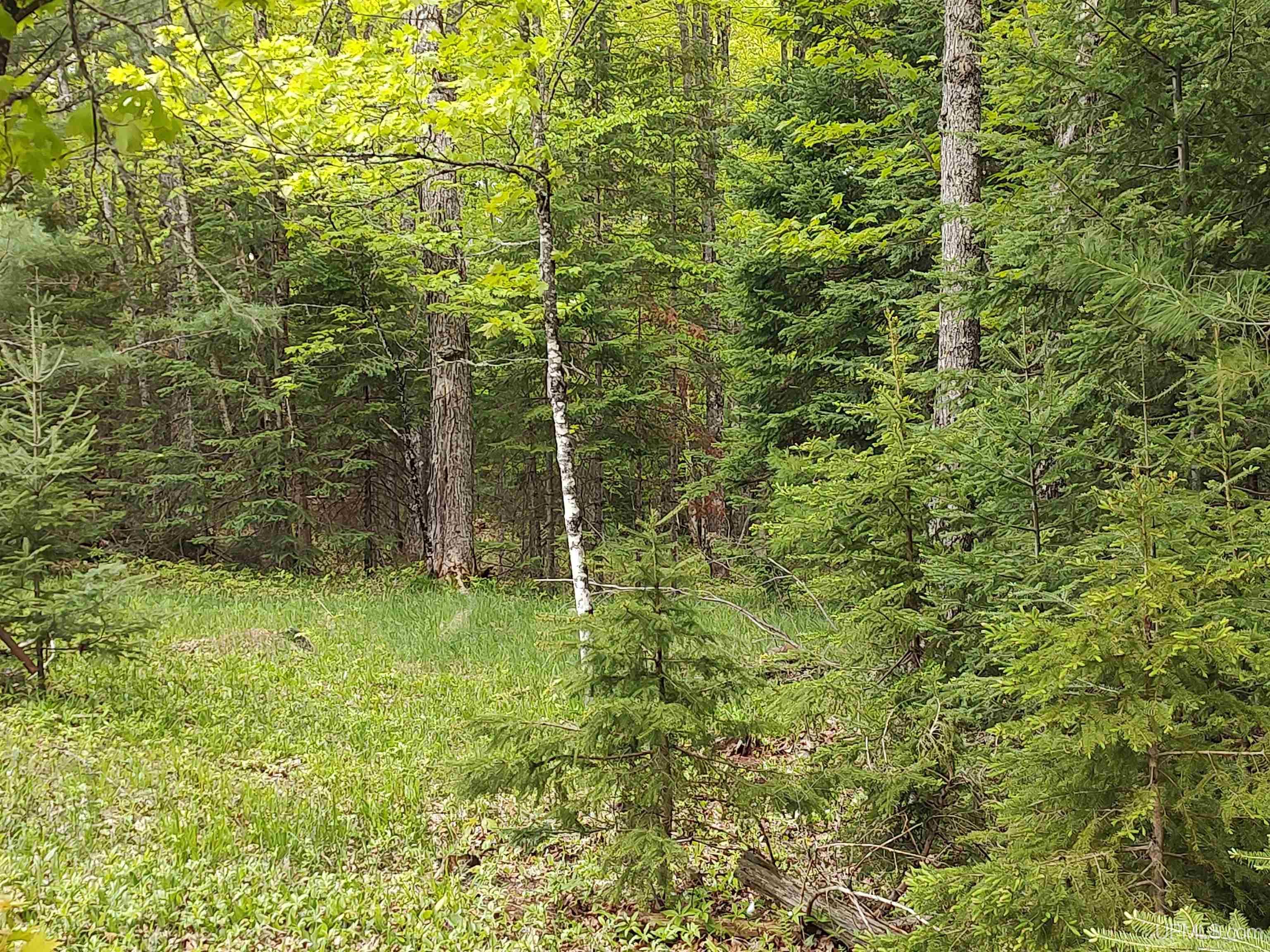 301A-301B Robinson Lake Road, Iron River, MI, 49935