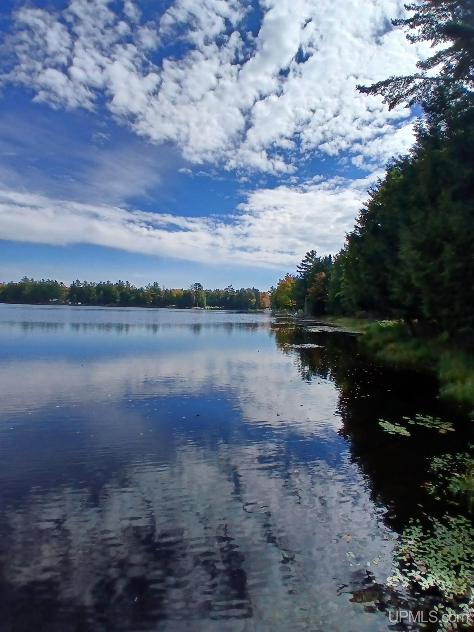 301A-301B Robinson Lake Road, Iron River, MI, 49935