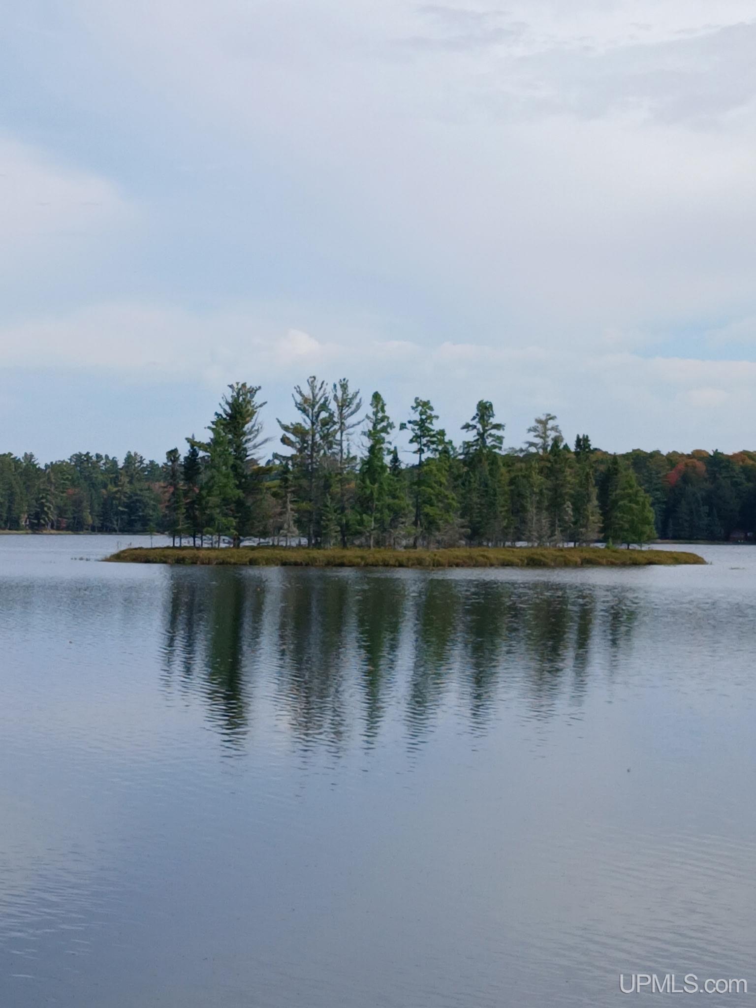 301A-301B Robinson Lake Road, Iron River, MI, 49935