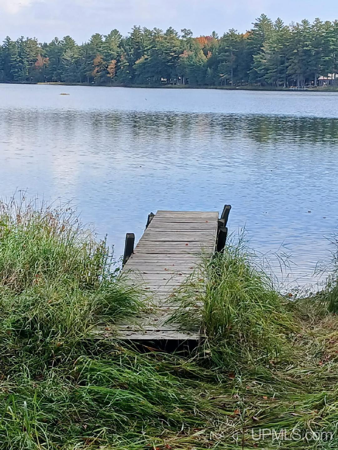 301A-301B Robinson Lake Road, Iron River, MI, 49935