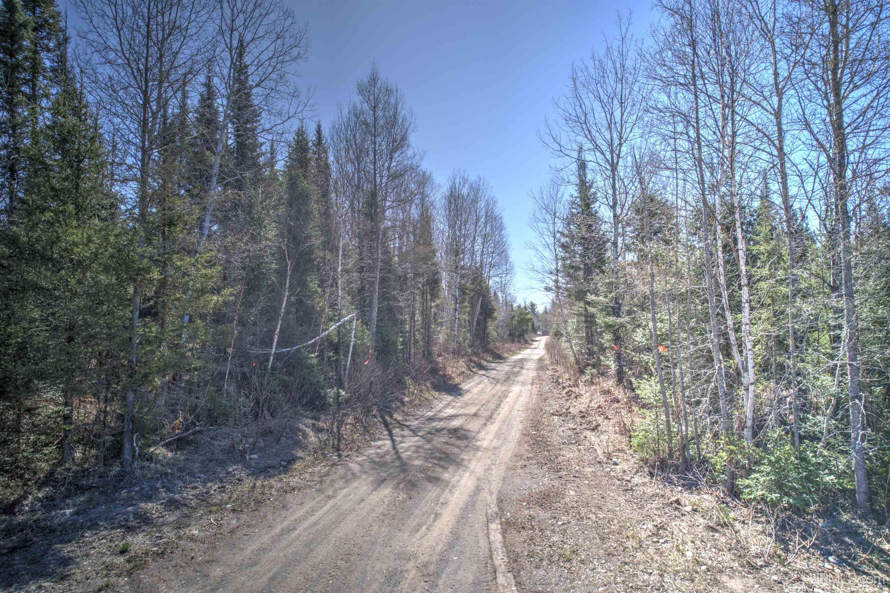 MLS 50168997 Large photo number 14 