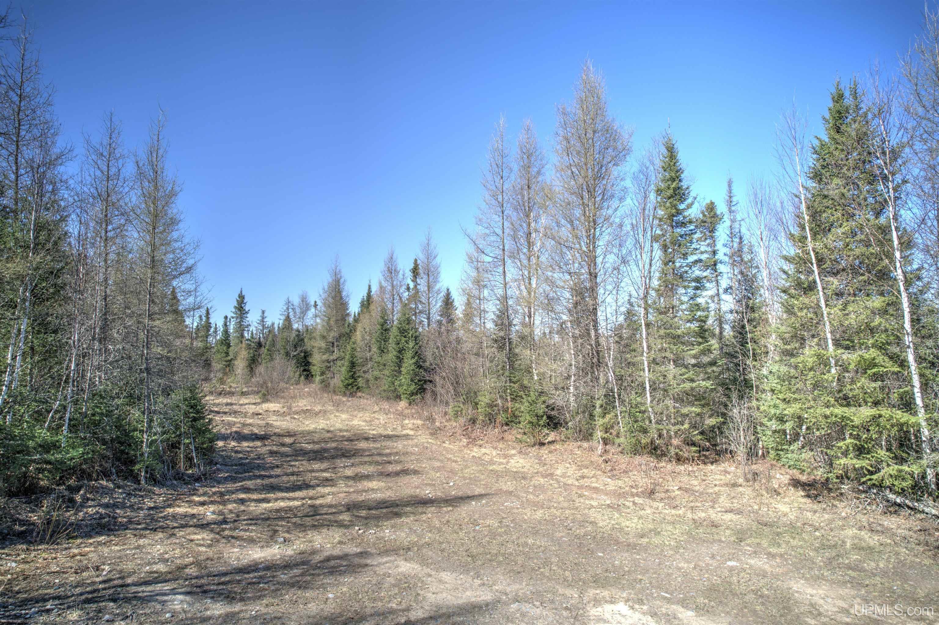 MLS 50168997 Large photo number 15 