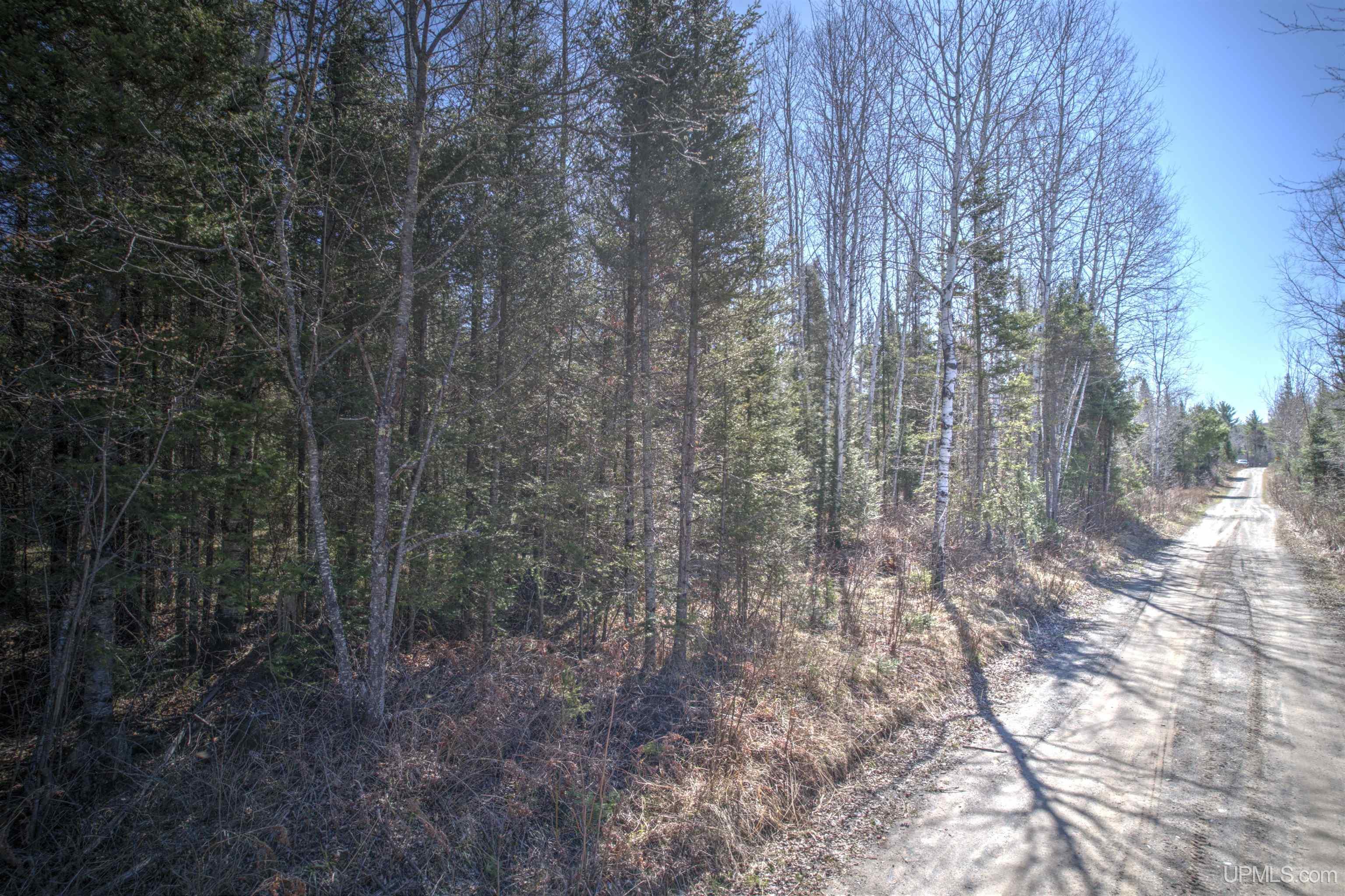 MLS 50168997 Large photo number 17 