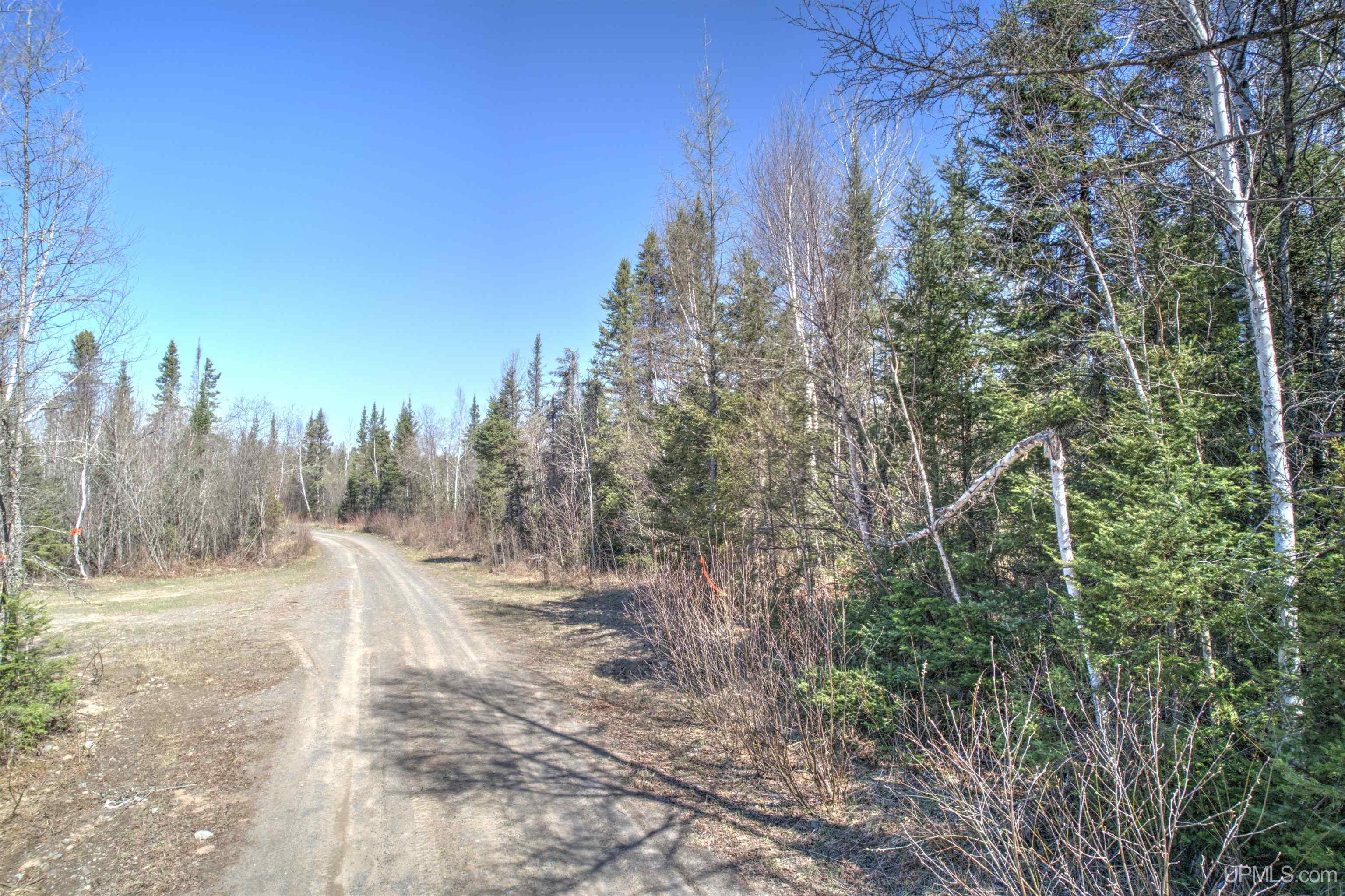 MLS 50168997 Large photo number 18 