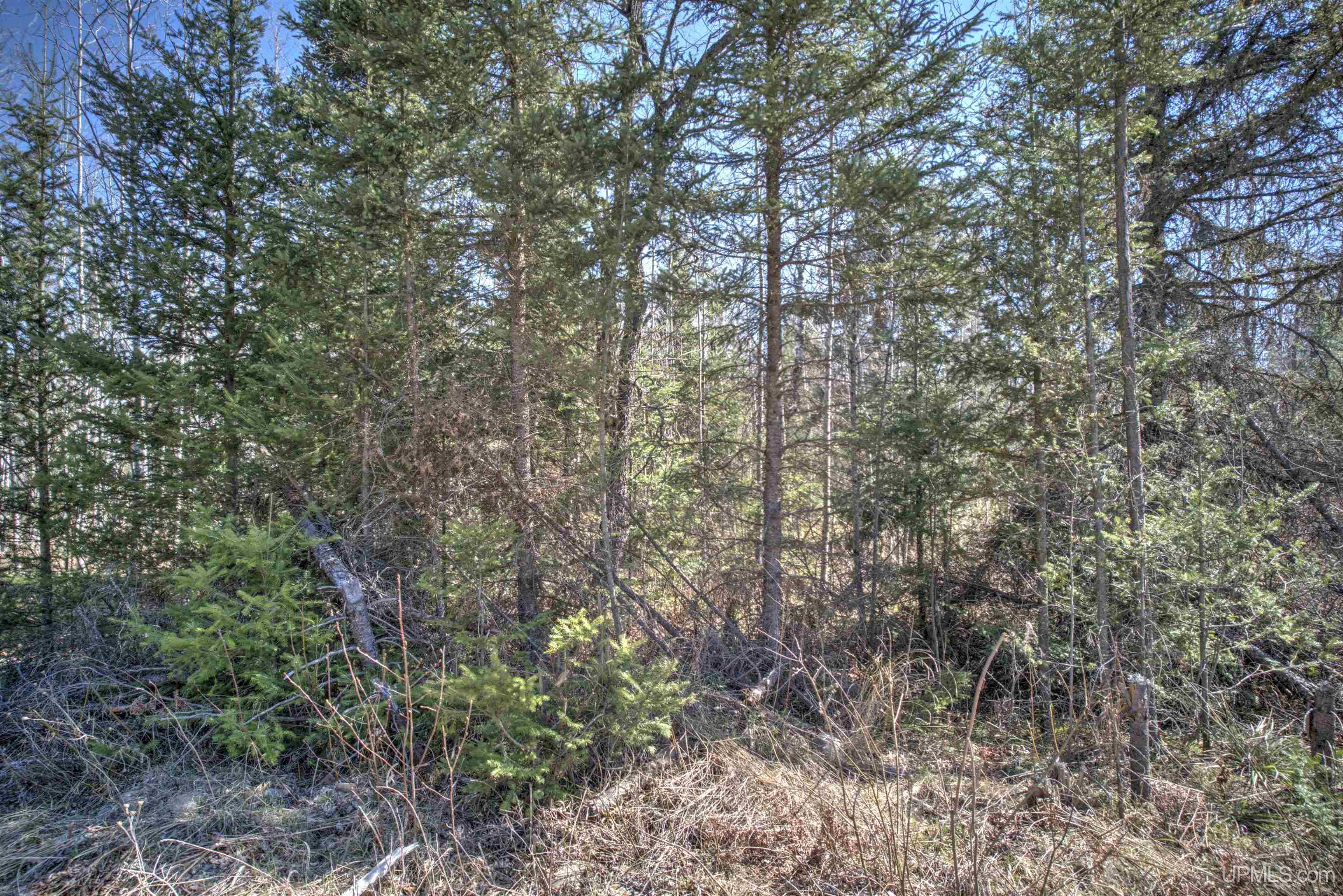 MLS 50168997 Large photo number 19 